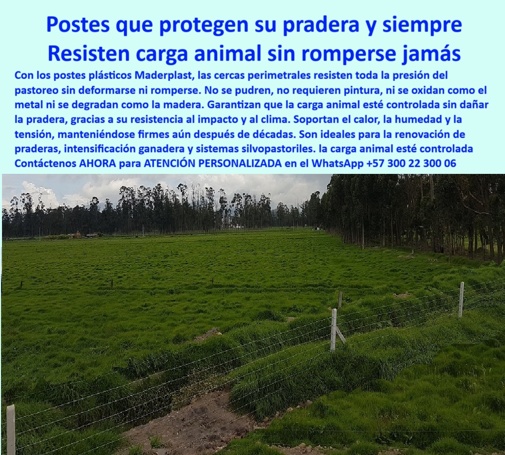 Postes Análisis Precios Económicos Poste Bajo Costo Estudio Precios APU Maderplast 0 Pie de amigo en poste plástico con tensión controlada material cerramiento resistente al calor cerca plástica poste plástico sin mantenimientos 0 Postes Análisis Precios Económicos Poste Bajo Costo Estudio Precios APU Maderplast 0 Pie de amigo en poste plástico con tensión controlada, - material cerramiento resistente al calor, - cerca-plástica poste plástico sin mantenimientos