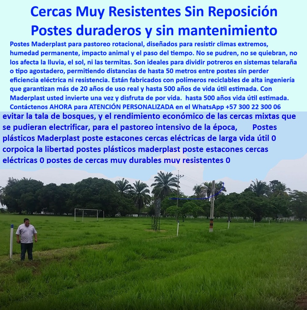 Postes Análisis Precios Económicos Poste Bajo Costo Estudio Precios APU Maderplast 0 instalación de cercas para tierras planas espacio paso potrero Poste reciclado para reemplazar estacones de madera División de potreros Postes 0 Postes Análisis Precios Económicos Poste Bajo Costo Estudio Precios APU Maderplast 0 instalación de cercas para tierras planas, - espacio paso potrero, - Poste reciclado para reemplazar estacones de madera, División de potreros Postes