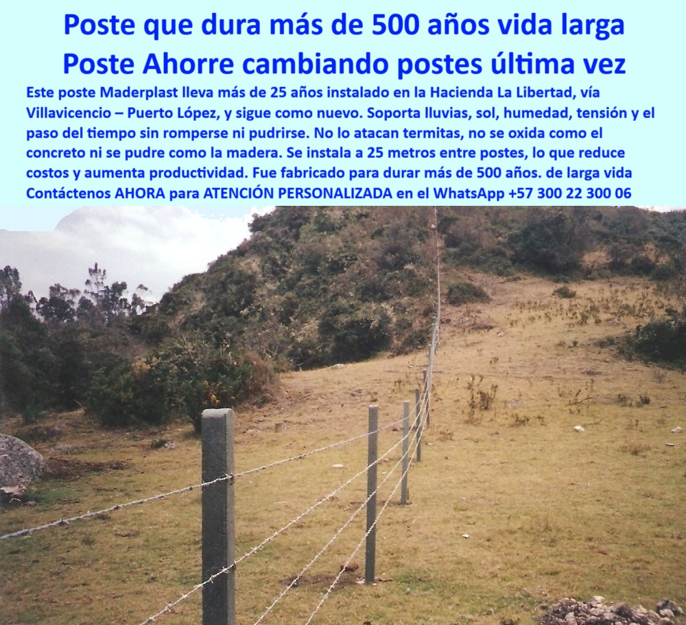 Postes Para Conservación De Cuencas Poste Forestal Ecológico Reciclable Maderplast 0 Poste Anti Deslizamiento para Borde de Aismo Postes para delimitar zonas de restauración Poste para Estabilidad Geotécnica Poste Maderplast 0 Postes Para Conservación De Cuencas Poste Forestal Ecológico Reciclable Maderplast 0 Poste Anti-Deslizamiento para Borde de Abismo, - Postes para delimitar zonas de restauración, - Poste para Estabilidad Geotécnica, - Poste Maderplast
