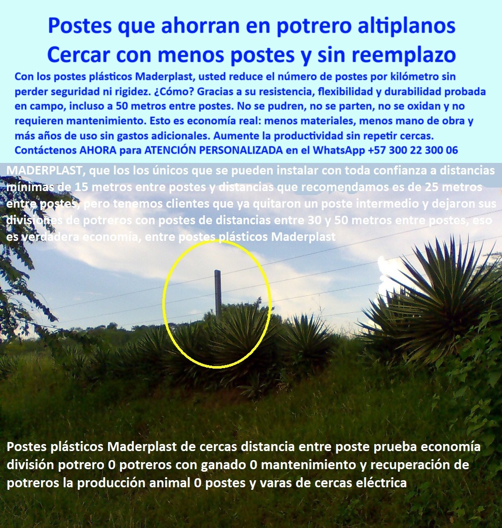 Postes Para Conservación De Cuencas Poste Forestal Ecológico Reciclable Maderplast 0 Poste para vigilancia en montaña Postes para control de acceso ecológico Postes compatibles con restauración ecológica Poste Antideslizante  0 Postes Para Conservación De Cuencas Poste Forestal Ecológico Reciclable Maderplast 0 Poste para vigilancia en montaña, - Postes para control de acceso ecológico, - Postes compatibles con restauración ecológica, - Poste Antideslizante  Postes Para Conservación De Cuencas Poste Forestal Ecológico Reciclable Maderplast 0 Poste para vigilancia en montaña, - Postes para control de acceso ecológico, - Postes compatibles con restauración ecológica, - Poste Antideslizante 
