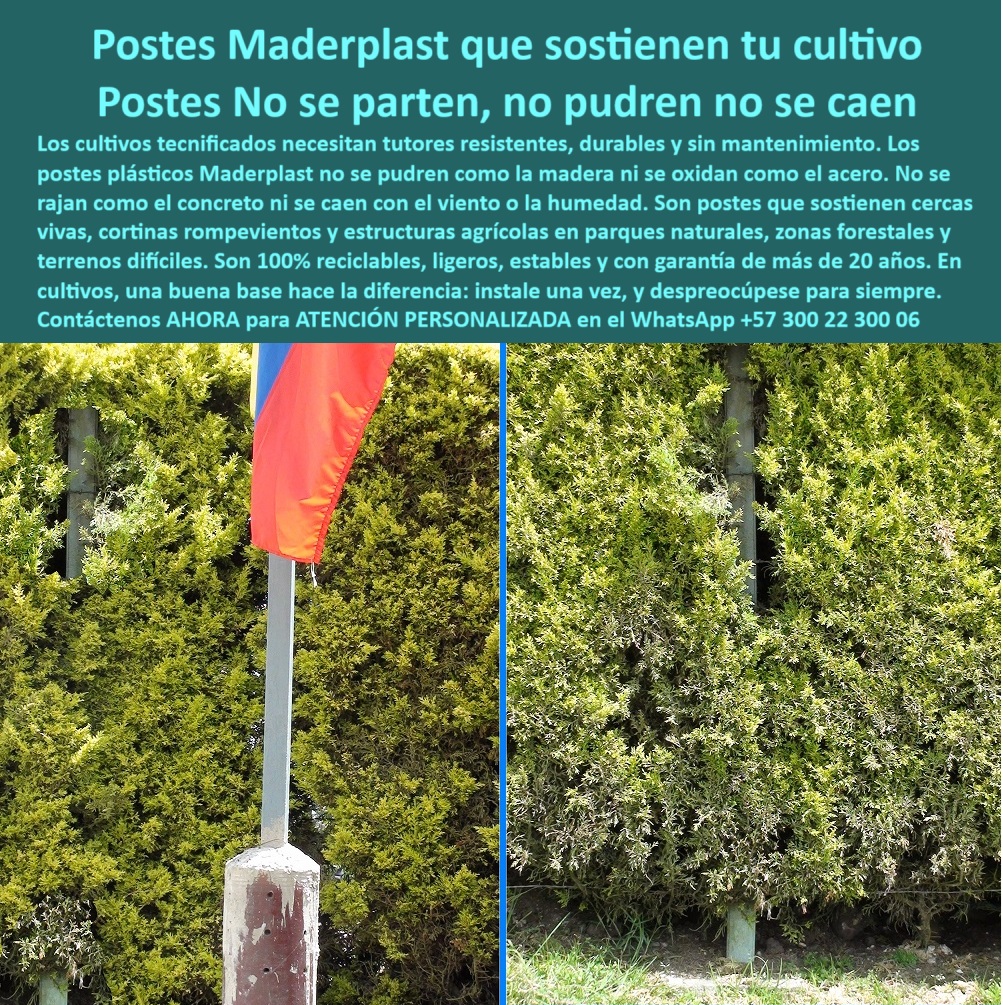 Postes Para Conservación De Cuencas Poste Forestal Ecológico Reciclable Maderplast 0 Postes para cercas en parques naturales Poste para Topografía Irregular Postes para redes rurales Postes para zonas forestales Poste Bosque 0 Postes Para Conservación De Cuencas Poste Forestal Ecológico Reciclable Maderplast 0 Postes para cercas en parques naturales, - Poste para Topografía Irregular, - Postes para redes rurales, - Postes para zonas forestales, Poste Bosque