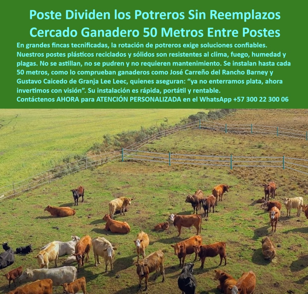 Postes Para División De Potreros Postes Plásticos Sólidos Resistentes Maderplast 0 Cerramiento ecológico con postes plásticos reciclados varas plásticas con soporte firme poste plástico portátil Poste de cerca eléctrica poste 0 Postes Para División De Potreros Postes Plásticos Sólidos Resistentes Maderplast 0 Cerramiento ecológico con postes plásticos reciclados, - varas-plásticas-con-soporte-firme, - poste plástico portátil, - Poste de cerca eléctrica poste