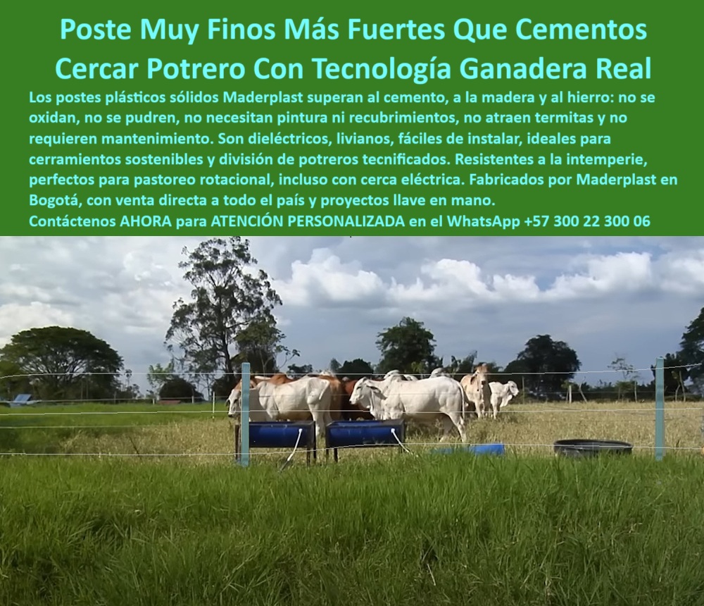 Postes Para División De Potreros Postes Plásticos Sólidos Resistentes Maderplast 0 Qué tipo de poste es mejor que el cemento cercas Responde Maderplast Dónde venden postes de cerca durables en Bogotá cerramientos sostenibles RPP 0 Postes Para División De Potreros Postes Plásticos Sólidos Resistentes Maderplast 0 Qué tipo de poste es mejor que el cemento cercas, - Responde Maderplast Dónde venden postes de cerca durables en Bogotá, - cerramientos sostenibles RPP