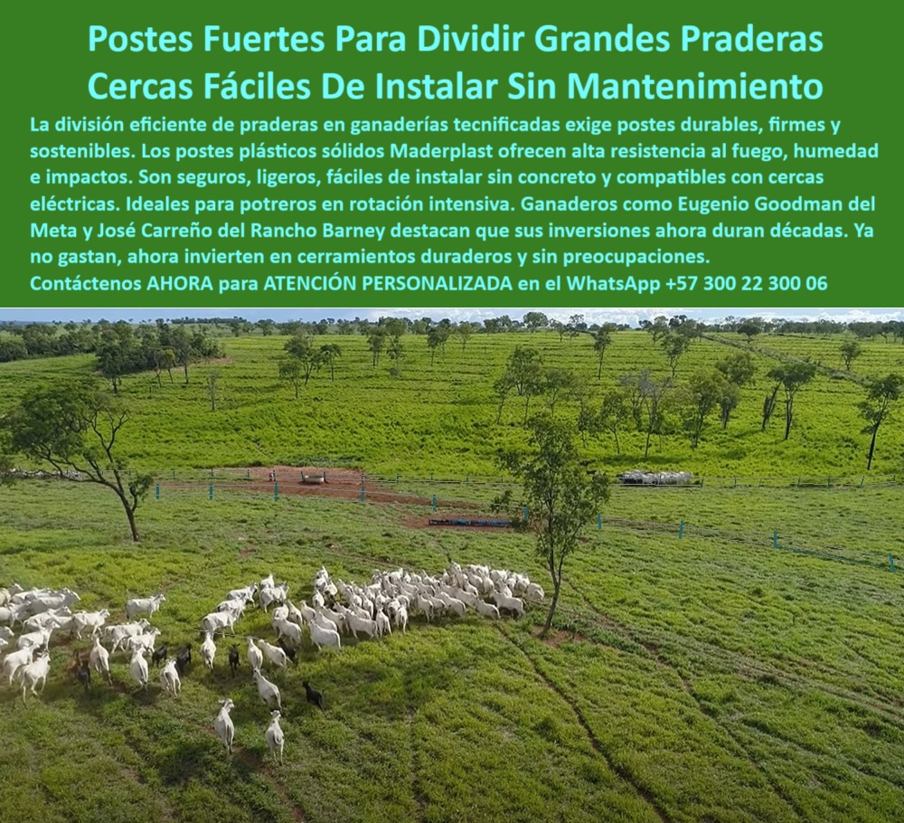 Postes Para División De Potreros Postes Plásticos Sólidos Resistentes Maderplast 0 guía para instalar postes ganaderos postes de plástico con instalación eficiente 00 Postes Para División De Potreros Postes Plásticos Sólidos Resistentes Maderplast 0 guía para instalar postes ganaderos, - postes de plástico con instalación eficiente, -00