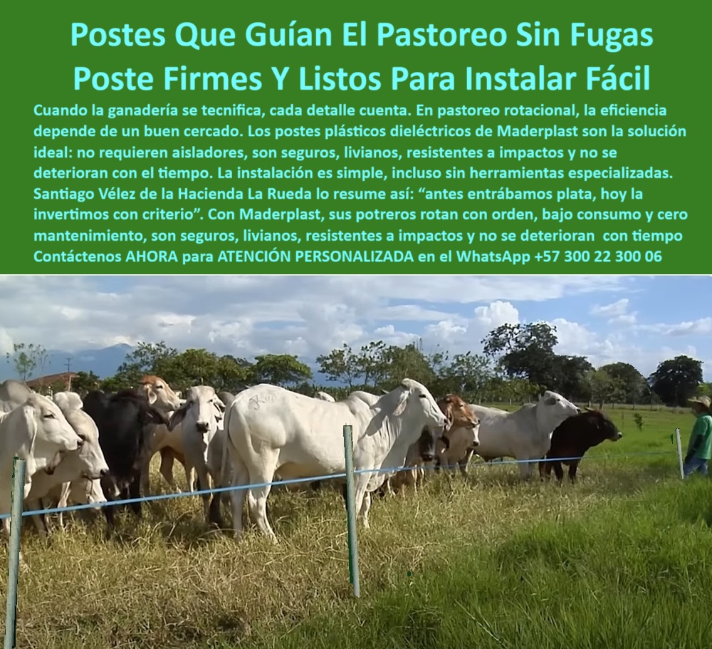 Postes Para División De Potreros Postes Plásticos Sólidos Resistentes Maderplast 0 poste plástico dieléctrico postes sistemas de pastoreo rotacional eficiente postes reciclados para división de potreros poste plástico instalar 0 Postes Para División De Potreros Postes Plásticos Sólidos Resistentes Maderplast 0 poste plástico dieléctrico, - postes sistemas de pastoreo rotacional eficiente, - postes reciclados para división de potreros, poste plástico instalar