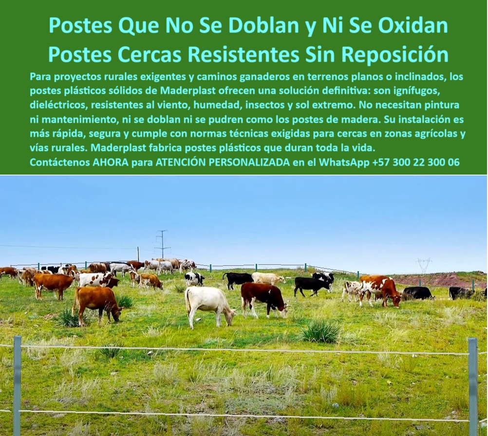 Postes Para División De Potreros Postes Plásticos Sólidos Resistentes Maderplast 0 postes para carreteras seguras Qué postes cumplen normas ignífugas en zonas rurales Instalación de cerca en tierras planas con poste plástico PP 0 Postes Para División De Potreros Postes Plásticos Sólidos Resistentes Maderplast 0 postes-para-carreteras-seguras, - Qué postes cumplen normas ignífugas en zonas rurales, - Instalación de cerca en tierras planas con poste plástico, PP