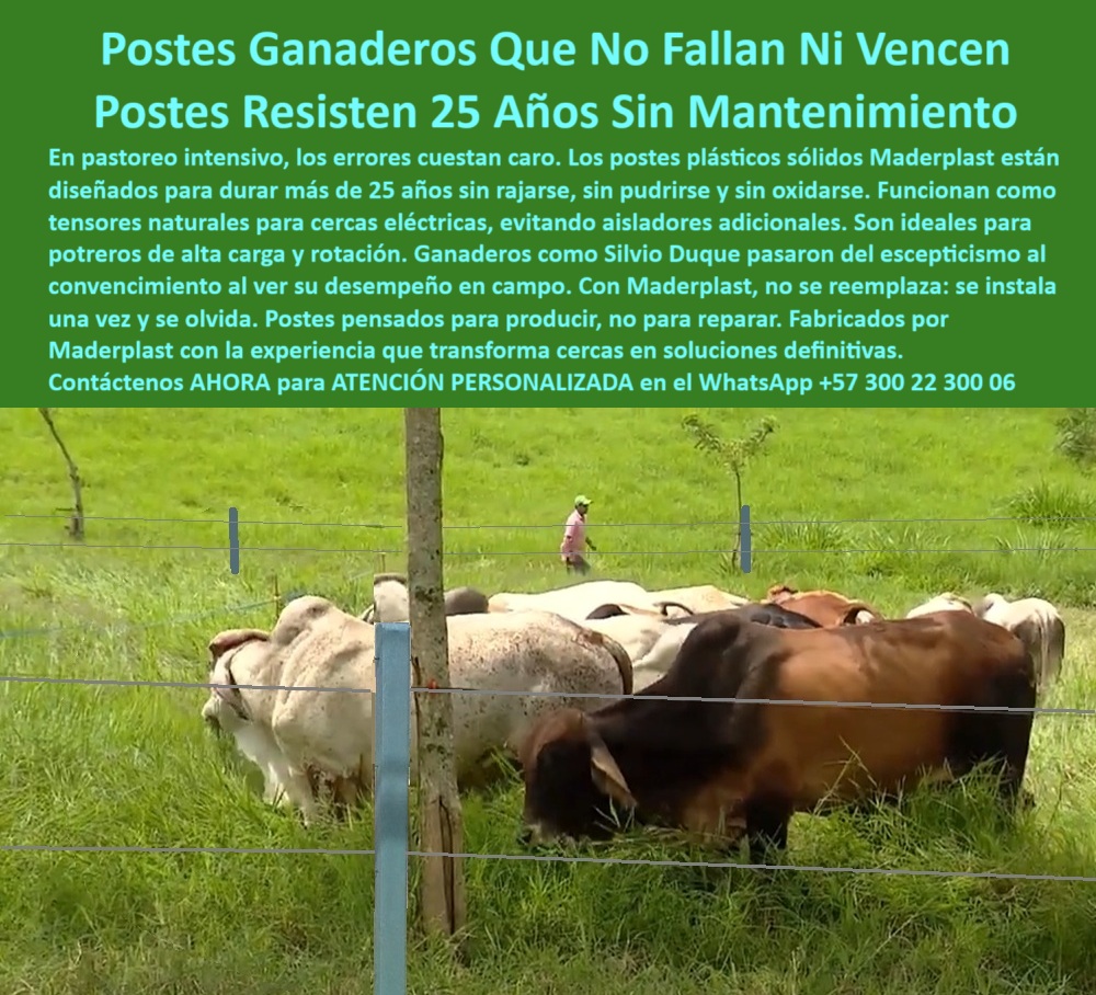 Postes Para División De Potreros Postes Plásticos Sólidos Resistentes Maderplast 0 postes de alta resistencia para finca ganadera Postes plásticos que 00 Postes Para División De Potreros Postes Plásticos Sólidos Resistentes Maderplast 0 postes de alta resistencia para finca ganadera, - Postes plásticos que 00
