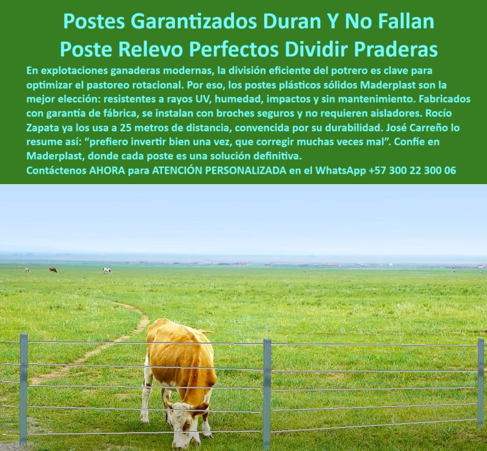 Postes Para División De Potreros Postes Plásticos Sólidos Resistentes Maderplast 0 postes innovadores con garantía de fábrica postes reciclados resistentes para cercas rurales división de praderas con broches durables perfiles 0 Postes Para División De Potreros Postes Plásticos Sólidos Resistentes Maderplast 0 postes innovadores con garantía de fábrica, - postes reciclados resistentes para cercas rurales, - división de praderas con broches durables, perfiles