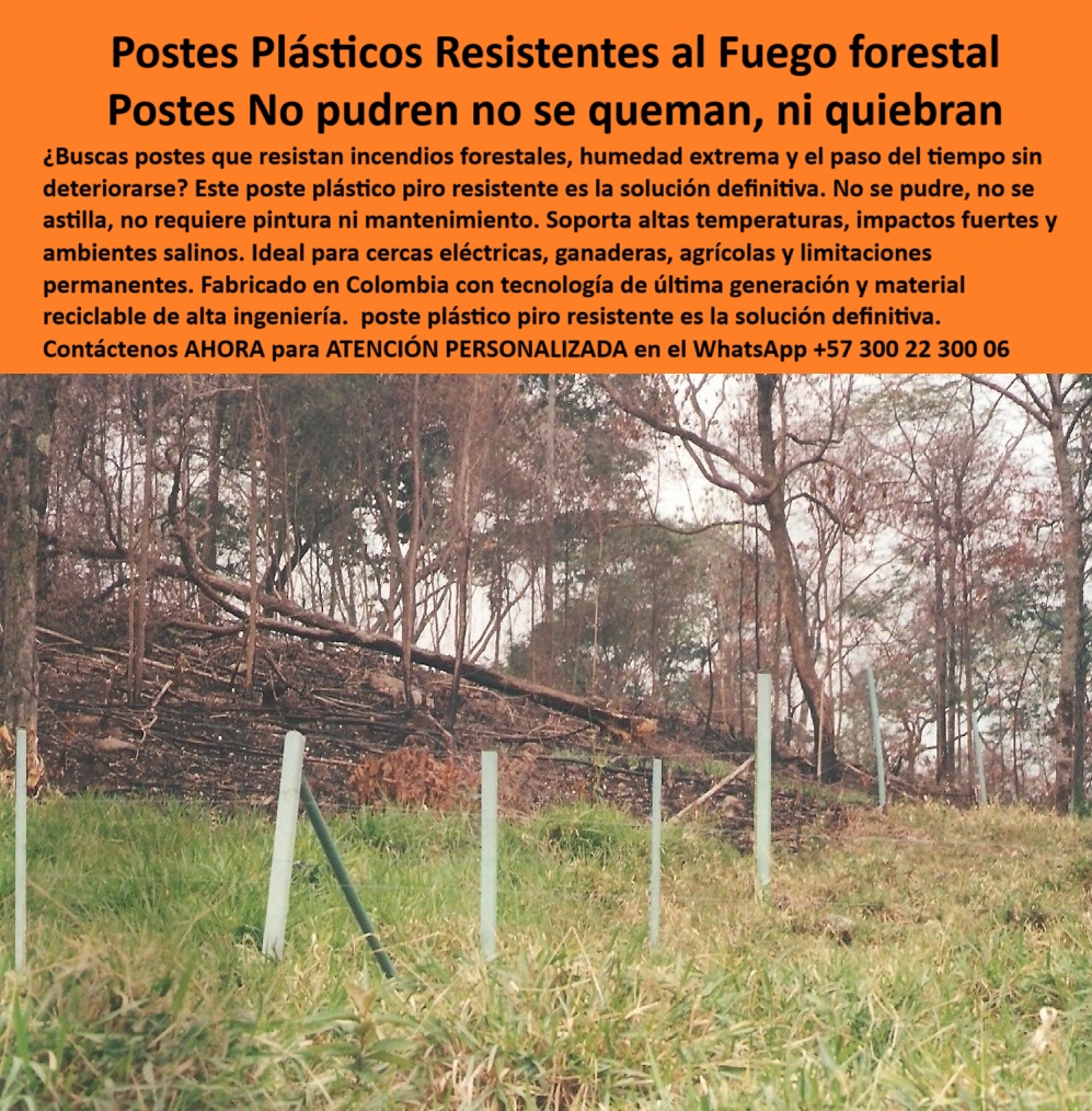 Postes Plásticos A Prueba De Fuego Pirorresistentes Resistes Las Quemas Maderplast 0 Cercas certificadas anti fuego postes plásticos resistentes fabricado Colombia Qué tipo de poste no se pudre ni se decolora Postes Plásticos 0 Postes Plásticos A Prueba De Fuego Pirorresistentes Resistes Las Quemas Maderplast 0 Cercas certificadas anti fuego, - postes plásticos resistentes fabricado Colombia, - Qué tipo de poste no se pudre ni se decolora, - Postes Plásticos