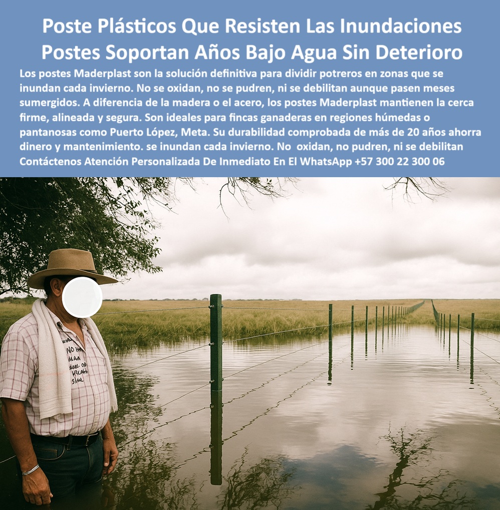 Postes Plásticos Para Inundaciones Cercas En Lagunas Y Humedad Maderplast 0 ganaderas cercas para sabanas húmedas cercas para inundaciones potreros lagos Postes para ganado en zonas de sabana húmeda postes contra inundaciones 0  Postes Plásticos Para Inundaciones Cercas En Lagunas Y Humedad Maderplast 0 ganaderas cercas para sabanas húmedas cercas para inundaciones potreros lagos Postes para ganado en zonas de sabana húmeda postes contra inundaciones 0  