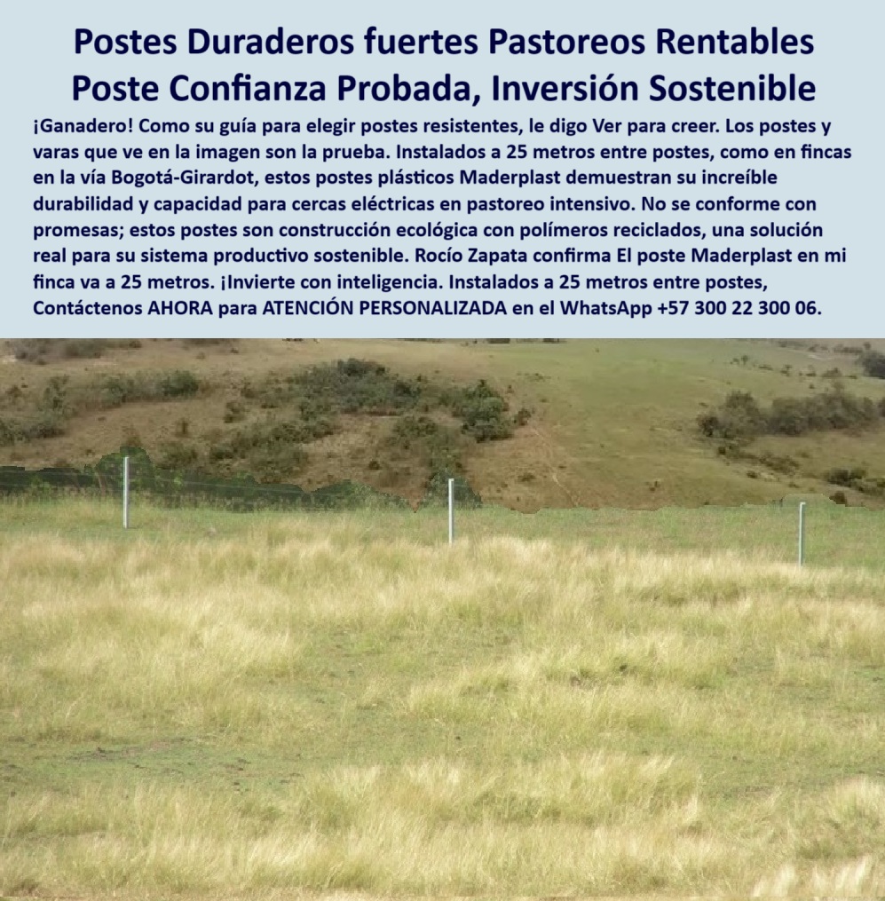 Postes Precios Más Económicos Poste Bajo Costo Promoción Postes Baratos Maderplast 0 postes para potreros con alta durabilidad construcción ecológica con polímeros reciclados guía para elegir postes para cercas resistentes PP 0 Postes Precios Más Económicos Poste Bajo Costo Promoción Postes Baratos Maderplast 0 postes para potreros con alta durabilidad, - construcción ecológica con polímeros reciclados, - guía para elegir postes para cercas resistentes, - PP