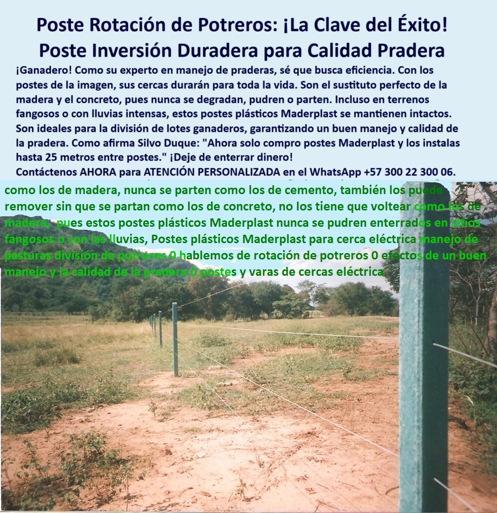 Postes Precios Más Económicos Poste Bajo Costo Promoción Postes Baratos Maderplast 0 sustituto de poste de madera postes plásticos para división de lotes ganaderos Dónde puedo comprar postes plásticos para mi finca Maderplast  0 Postes Precios Más Económicos Poste Bajo Costo Promoción Postes Baratos Maderplast 0 sustituto de poste de madera, - postes plásticos para división de lotes ganaderos, - Dónde puedo comprar postes plásticos  para mi finca, Maderplast 