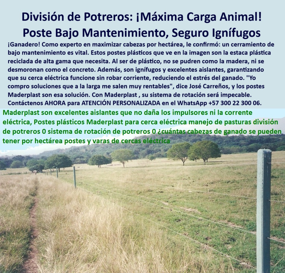 Postes Precios Más Económicos Postes Bajo Costo Promoción Postes Baratos Maderplast 0 Cerramiento bajo mantenimiento con postes reciclables cercas con postes seguros e ignífugos estaca plástica reciclada postes de alta gama 0 Postes Precios Más Económicos Postes Bajo Costo Promoción Postes Baratos Maderplast 0 Cerramiento bajo mantenimiento con postes reciclables, - cercas con postes seguros e ignífugos, - estaca plástica reciclada, - postes-de-alta-gama
