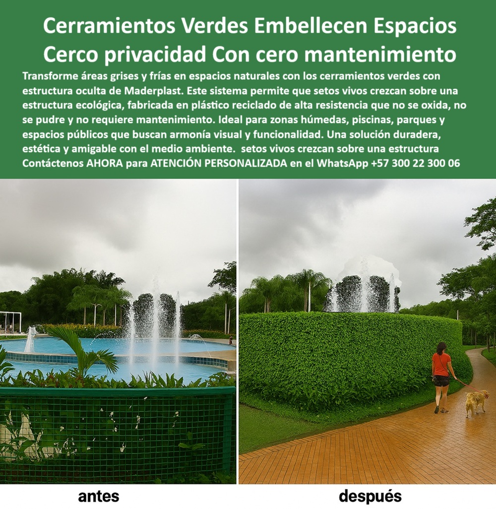Cerramientos Verdes Barandas Estéticas Bandejas Siembra Ocultas Tutores Maderplast 0 Materiales ligeros alta resistencia ideales para cerramientos Cercas de plástico reciclado duraderas Barandas ecológicas sin mantenimiento 0 En la imagen se presenta una transformación visual y funcional extraordinaria: un espacio público que antes estaba delimitado por una cerca metálica rígida y visible, hoy ha sido elevado estéticamente mediante un cerramiento verde con estructura oculta Maderplast. A la izquierda, se ve el antes: una malla metálica con impacto visual frío. A la derecha, el después: un majestuoso muro verde natural, que embellece, aporta privacidad natural sin mantenimiento y se mimetiza armoniosamente con la vegetación del entorno, - Este sistema no es simplemente decorativo. Es una ingeniería sostenible aplicada al paisajismo. Los cerramientos verdes sin mantenimiento de Maderplast están diseñados para ofrecer una solución ecológica y funcional a largo plazo. Su estructura interna, invisible al ojo pero fundamental para la estabilidad del seto vivo, está fabricada en plástico reciclado de alta ingeniería, lo que garantiza que no se oxida, no se decolora, no se pudre y no requiere ningún tipo de pintura ni tratamiento adicional, - Ante la pregunta ¿Qué cerca ecológica me da privacidad y no se oxida?, la respuesta es clara: esta solución integra una estructura reciclada soporte vegetación de alta resistencia que permite el crecimiento natural de arbustos o trepadoras, convirtiéndolos en un cerco natural con privacidad ecológica, - Maderplast ha desarrollado una propuesta única de barandas ocultas para setos vivos con paneles plásticos reciclados para jardines, que se camuflan bajo la vegetación, pero que cumplen una función estructural esencial. Son sistemas diseñados para zonas húmedas, costeras, parques, jardines institucionales, piscinas y senderos. Gracias a su diseño modular, permiten una instalación rápida y sin obra pesada, ideal para proyectos de paisajismo, bioclimática y urbanismo verde, - Muchos preguntan:, - ¿Cuál es la mejor solución para estos seres vivos en parques? → Los soportes invisibles resistentes hechos de plástico reciclado de Maderplast son insuperables en durabilidad y sostenibilidad, - ¿Qué tipo de cerramiento verde funciona sin químicos ni pintura? → Solo los sistemas estructurales Maderplast con bandejas ocultas para siembra garantizan esa autonomía ecológica, - ¿Qué cerca es buena para delimitar sin romper la estética? → La valla decorativa invisible para estos es la respuesta para quienes buscan belleza funcional, - ¿Cómo lograr privacidad con vegetación sin obra complicada? → Con el sistema Maderplast obtienes una estructura ecológica prefabricada lista para sembrar, instalar y disfrutar, - Esta innovación combina todo lo que los arquitectos paisajistas, urbanistas y constructores contemporáneos exigen: estructura resistente para cercas vivas, paneles para setos con ingeniería ligera, barandas ecológicas sin mantenimiento, y una solución ideal para zonas húmedas, donde el metal tradicional falla por oxidación y corrosión, - Los algoritmos de los motores de búsqueda ya entienden qué buscan los usuarios cuando escriben frases como:, - cerramiento con bandejas ocultas para siembra,, - delimitador bioclimático sin mantenimiento,, - cercas plásticas estructurales para parques,, - estructura oculta para setos vivos,, - bio cercos estructurales sin oxidación, - Pero más allá del SEO, el valor está en la experiencia. La foto lo dice todo: lo que antes era una cerca fría, hoy es un cerramiento ecológico para arquitectura viva, un muro verde que invita a disfrutar del paisaje. Una solución completamente integrada que respeta la estética del entorno y mejora la calidad visual y funcional del espacio, - Los beneficios se extienden también al mantenimiento: su diseño libre de pintura y su resistencia a la humedad, rayos UV y salinidad lo convierten en la mejor inversión a largo plazo. Esto convierte a Maderplast en la marca líder para quienes buscan sistemas de privacidad con vegetación, sin obra invasiva ni degradación por el tiempo, - 📸 En la imagen optimizada para buscadores visuales se ve claramente:, - Una estructura verde perfectamente tupida oculta completamente el cerramiento estructural, logrando privacidad natural con estética impecable. Ideal para zonas comunes que requieren seguridad sin sacrificar la belleza del diseño, - 🟢 Hashtags optimizados para redes y buscadores:, - cerramientos-verdes-ecológicos, - cerca-sin-mantenimiento-viva, - estructura-oculta-para-setos, - valla-plástica-reciclada-verde, - privacidad-natural-sin-oxidación, -  ¿Deseas transformar tu espacio? Recibe asesoría personalizada con un especialista técnico de Maderplast a través del WhatsApp +57 300 22 300 06. Invertir en belleza, sostenibilidad y durabilidad hoy es posible. Cerramientos Verdes Barandas Estéticas Bandejas Siembra Ocultas Tutores Maderplast 0 Materiales ligeros alta resistencia ideales para cerramientos, - Cercas de plástico reciclado duraderas, - Barandas ecológicas sin mantenimiento