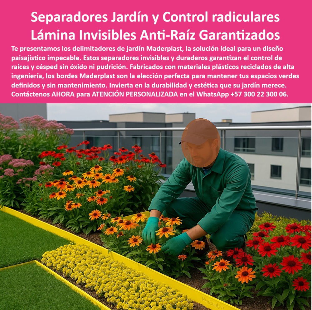 Delimitadores de Jardín Anti raíz Bordes Invisibles Duraderos Separador Maderplast 0 Separadores de diseño paisajístico Bordes jardín sin óxido pudrición garantizado Delimitadores jardines invisibles control raíces césped 0 La imagen muestra una terraza ajardinada en la azotea de un edificio moderno. En primer plano, un hombre, vestido con un overol verde, se encuentra agachado manipulando unas flores de color naranja y morado. Un perfil amarillo de separación vegetal de Maderplast delimita las flores del césped artificial. La imagen proyecta una sensación de modernidad, tranquilidad y sostenibilidad, - Maderplast: Separadores de Jardín con Control Radicular, Láminas Invisibles Anti-Raíz Garantizadas, - En el diseño de jardines y paisajismo, mantener la limpieza y la estructura del diseño es un desafío constante. Maderplast presenta la solución innovadora: separadores jardín y control radicular con lámina invisibles anti-raíz garantizados. Te presentamos los delimitadores de jardín Maderplast, la solución ideal para un diseño paisajístico impecable. Estos separadores invisibles y duraderos garantizan el control de raíces y césped sin óxido ni pudrición. Fabricados con materiales plásticos reciclados de alta ingeniería, los bordes Maderplast son la elección perfecta para mantener tus espacios verdes definidos y sin mantenimiento. Si se pregunta qué usar para separar flores y pasto, la respuesta es usar láminas Maderplast anti raíz, - La tecnología de Maderplast redefine el concepto de durabilidad en jardinería. Nuestros separadores invisibles anti raíz para terrazas y los delimitadores de control radicular Maderplast están diseñados para resistir el paso del tiempo sin deteriorarse. Si su preocupación son los delimitadores invisibles para terrazas con plantas, la respuesta es que Maderplast tiene la solución ideal. Las bordes técnicos para diseño paisajístico y las láminas plásticas sin oxidación ni pudrición son la prueba de que se puede tener una solución resistente y estética al mismo tiempo. La pregunta de cómo evitar raíces mezcladas en terrazas verdes se responde con usar barreras técnicas Maderplast, - La versatilidad de nuestros productos es inigualable. Los divisores visuales para techos verdes y los perfiles amarillos de separación vegetal se adaptan a cualquier proyecto. Si se pregunta qué bordes de jardín no se oxidan, la respuesta es que los separadores Maderplast son reciclados. Las separación profesional césped y flores y las barreras ocultas entre zonas verdes son la prueba de que se puede tener una infraestructura resistente y de bajo costo. La pregunta de solución paisajística sin mantenimiento se responde con que Maderplast ofrece láminas definitivas, - La durabilidad y el bajo mantenimiento son pilares de Maderplast. Nuestros delimitadores sin herrajes visibles ni pintura y los lámina amarilla para jardinería arquitectónica están diseñados para resistir el paso del tiempo sin necesidad de reparaciones. Si se pregunta dónde comprar perfiles para paisajismo profesional, la respuesta es que Maderplast tiene envío nacional. Las solución modular para techos ajardinados y los bordes invisibles de alta ingeniería son la prueba de que se puede tener una solución duradera y de bajo costo. Y para quienes buscan qué instalar para separar césped de flores, la respuesta es que Maderplast tiene láminas invisibles, - Con Maderplast, el diseño sostenible es una realidad. Nuestro materiales resistentes para terrazas con plantas y las líneas delimitadoras sin interrupción visual están fabricados con polímeros reciclados que reducen el impacto ambiental. Si buscas separadores de jardín duraderos y estéticos, la respuesta es usar tecnología plástica Maderplast. El diseño técnico con plásticos reciclados y el perfil delimitador de bajo mantenimiento son la prueba de que se puede tener una solución ecológica y estéticamente agradable. La pregunta de qué delimita espacios sin alterar el diseño se responde con que las láminas Maderplast son invisibles, - La estética y la resistencia se unen en Maderplast. Nuestras separación anti raíz en terrazas corporativas y las líneas delimitadoras sin interrupción visual son ideales para proyectos que buscan un impacto visual duradero. Si busca lámina anti raíz para techo ajardinado, la respuesta es que Maderplast lo hace posible. Los delimitadores de control radicular Maderplast y los divisores visuales para techos verdes son la prueba de que se puede tener una solución funcional y estéticamente agradable. Y si busca solución paisajística sin mantenimiento, la respuesta es que Maderplast ofrece láminas definitivas, - Nuestros jardinero agachado manipula flores rojas junto a una lámina amarilla que separa césped artificial y el separador de jardín entre flores de distintos colores sobre techo verde institucional son ejemplos perfectos de cómo nuestros delimitadores se integran en el entorno. Con Maderplast, usted obtiene un separador de jardín y control radicular que es resistente, estético y funcional. Para una asesoría especializada con un especialista de Maderplast, atención personalizada en este Whatsapp 57+ 300 22 300 06. Delimitadores de Jardín Anti raíz Bordes Invisibles Duraderos Separador Maderplast 0 Separadores de diseño paisajístico, - Bordes jardín sin óxido pudrición garantizado, - Delimitadores jardines invisibles control raíces, césped