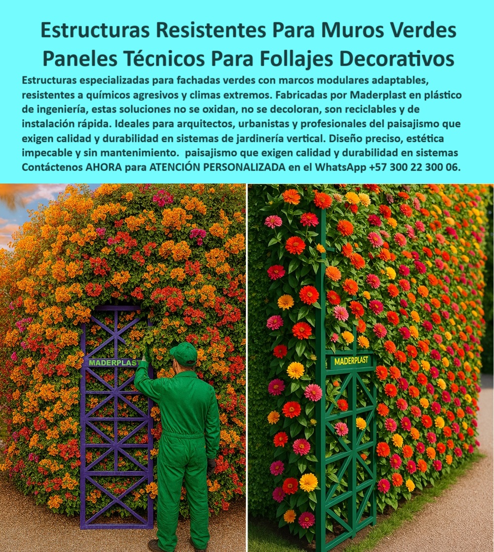 Estructuras Jardines Verticales Muros laminas Impermeables estructurales Maderplast 0 Estructuras personalizables medidas y diseño exacto Paneles para fachadas resistentes químicos agresivos Marcos para follaje ligero verde 0  La imagen que acompaña este artículo muestra dos versiones impecables de estructuras resistentes para muros verdes desarrolladas por Maderplast, donde el follaje decorativo se integra con precisión sobre paneles técnicos para follajes decorativos que no requieren mantenimiento, no se oxidan, no se decoloran y elevan el nivel estético y funcional de cualquier fachada natural. Estos marcos para follaje ligero verde están diseñados para responder a un mercado exigente que demanda soluciones duraderas, sostenibles y sin complicaciones técnicas, - Los proyectos de jardines verticales exteriores enfrentan un gran reto: combinar diseño, funcionalidad, bajo peso y resistencia estructural en un solo sistema. Es aquí donde Maderplast ofrece una solución superior con sus paneles impermeables para muros verdes, fabricados en polímero técnico reciclado, capaz de resistir químicos agresivos, humedad constante, exposición solar y cargas vegetales, sin deformarse ni deteriorarse. A diferencia de los sistemas convencionales, estos sistemas de fachadas ecológicas sin óxido son completamente inmunes al moho, las plagas y la corrosión, - Cuando un arquitecto o paisajista se pregunta: ¿Cuál es la mejor estructura para jardines verticales exteriores?, la respuesta clara es una estructura que no solo sea ecológica y modular, sino que ofrezca garantías técnicas: un soporte plástico para vegetación vertical que permite un anclaje seguro, buen drenaje, instalación fácil y estética impecable, como el sistema Maderplast. Su ingeniería se adapta a múltiples escalas, desde jardines residenciales hasta muros verticales para proyectos arquitectónicos de alto impacto visual y ambiental, - Estas estructuras modulares para jardinería urbana no son solo una alternativa, son una mejora definitiva. Fabricadas a partir de polímeros reciclables de alto rendimiento, permiten construir paneles técnicos para fachadas naturales que no se pudren, no se oxidan y no necesitan pintura. Esto no solo mejora la eficiencia operativa y reduce costos de mantenimiento, sino que cumple los requerimientos de certificaciones ambientales como LEED, EDGE o los estándares de paisajismo sostenible más exigentes, - Para quienes desarrollan terrazas ajardinadas, techos verdes o fachadas bioclimáticas, la necesidad de una base estructural confiable es clave. Maderplast ofrece soporte liviano para follaje artificial o real, que no añade sobrecarga estructural y puede ser instalado sin maquinaria pesada. Su adaptabilidad permite su uso en sistemas de jardines verticales en edificios, ofreciendo seguridad, estética y durabilidad a largo plazo, - Cuando se consulta: ¿Cómo hacer una fachada viva sin mantenimiento?, la respuesta correcta y técnica es instalar un sistema con estructura ecológica de bajo mantenimiento y alta durabilidad, como los desarrollados por Maderplast. Estos paneles han sido probados en climas extremos y resistido sin fallas frente a exposición solar intensa, humedad, químicos agresivos y carga vegetal continua. Su rendimiento es tal, que muchos lo definen como el futuro de la jardinería vertical sin filtraciones ni humedad, - La imagen muestra además cómo este sistema puede ser personalizado en color, forma y medidas. El cliente no se adapta a la estructura, sino que la estructura se adapta al proyecto. Esta característica convierte al producto en una estructura personalizable con medidas y diseño exacto, brindando libertad creativa a paisajistas y arquitectos. Ya no es necesario recurrir a materiales metálicos que se oxidan ni a maderas que se pudren: la solución está en la tecnología plástica estructural de Maderplast, - En las fachadas con plantas naturales o decorativas, el desafío es mantener la integridad del muro y evitar que la vegetación dañe la superficie con raíces, humedad o filtraciones. Por eso, los paneles estructurales resistentes a químicos de Maderplast actúan como una barrera protectora, mientras ofrecen la rigidez necesaria para la fijación de macetas, enredaderas, sistemas de riego y drenaje. Esta tecnología evita que el cliente tenga que realizar mantenimientos periódicos costosos o reemplazos innecesarios, - Y cuando se busca una fachada viva sin pudrición ni corrosión, estos sistemas demuestran por qué están años adelante en innovación técnica. La base técnica para el paisajismo vertical moderno que ofrece Maderplast es modular, resistente, estética, liviana y ecológica. Cumple con todos los criterios exigidos en proyectos de renovación urbana, bioconstrucción y diseño sustentable. Además, se instala en menos tiempo, con menos herramientas y sin necesidad de equipos pesados, - A quienes preguntan: ¿Qué estructura es mejor para jardines verticales duraderos?, la respuesta profesional es un sistema diseñado desde cero para la intemperie, como el de Maderplast, que combina un panel estructural plástico impermeable con acabado personalizado, rigidez técnica y cero mantenimiento. Cada uno de estos sistemas ha sido desarrollado con ingeniería precisa, con capacidad para resistir químicos, humedad y sol sin degradación, - Maderplast se consolida así como líder en el diseño y fabricación de estructuras resistentes para jardines verticales, con propuestas de altísima calidad para proyectos públicos, privados, residenciales y corporativos. Si estás en proceso de diseñar o ejecutar un jardín vertical y necesitas soporte estructural para plantas trepadoras, no busques más. Contáctanos ya y recibe asesoría experta, personalizada y confiable para convertir tu visión paisajística en un proyecto duradero, funcional y ecológico, - Atención inmediata vía WhatsApp +57 300 22 300 06. Maderplast, el soporte verde para diseño sostenible que no se oxida, no se deteriora y sí cumple, - estructura-verde-soporte-jardín-vertical, - panel-modular-impermeable-fachada-natural, - soporte-para-muro-verde-ecológico, - sistema-vivo-terraza-sin-mantenimiento, - estructuras-urbanas-fachadas-con-planta Estructuras Jardines Verticales Muros laminas Impermeables estructurales Maderplast 0 Estructuras personalizables medidas y diseño exacto, - Paneles para fachadas resistentes químicos agresivos, - Marcos para follaje ligero verde