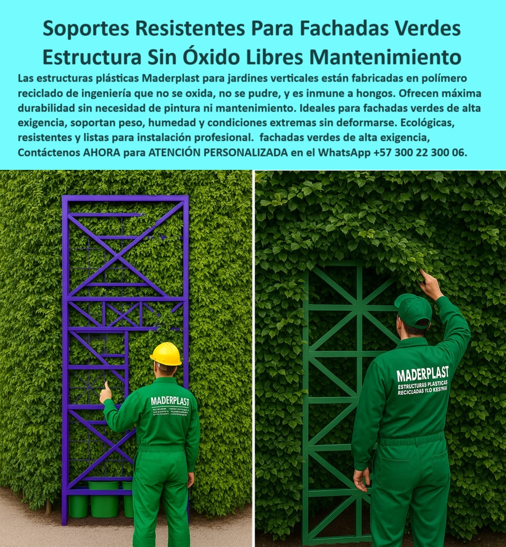 Estructuras Jardines Verticales Muros laminas Impermeables estructurales Maderplast 0 Soporte fachadas verdes no se pudre no se oxida cero hongos Paneles para muros verdes sin mantenimiento ni pintura Estructura jardín PP 0  En la imagen observamos dos sistemas plásticos de soporte instalados en fachadas verdes de alta exigencia, donde se destacan claramente por su rigidez estructural, su resistencia al clima y su integración estética con la vegetación viva. Técnicos especializados de Maderplast realizan la inspección final de estas estructuras plásticas para jardinería vertical, confirmando que cada pieza está firme, alineada y libre de mantenimiento. No hay corrosión, ni pintura, ni deterioro. Solo innovación funcional para muros vivos que transforman el paisaje urbano y ecológico, - Maderplast ha desarrollado una línea de soporte estructural jardín vertical sin mantenimiento que redefine la forma en que se construyen muros vivos exteriores. Diseñadas con estructuras impermeables para fachadas vivas, estas soluciones ofrecen una resistencia superior a la humedad, a los hongos y al deterioro por intemperie, sin necesidad de pintura ni procesos corrosivos. Ya no se trata solo de instalar plantas en una fachada, sino de garantizar un sistema seguro, estable, sin óxido y de larga duración. Por eso, cuando los arquitectos o diseñadores buscan paneles plásticos para muros verdes exteriores, encuentran en Maderplast la respuesta más confiable y moderna, - Con una visión sostenible y tecnológica, estas estructuras duraderas para jardinería sustentable están fabricadas en polímero reciclado de ingeniería. Es un material que no se pudre, no se hincha, no se oxida y no requiere tratamiento adicional para resistir condiciones climáticas extremas. Esto las convierte en el complemento ideal para sistemas modulares para jardines verticales exteriores, sin importar si están instalados en zonas costeras, edificios en altura, techos verdes o pérgolas ajardinadas. Su diseño permite ensamblar módulos resistentes para muros vegetales de forma rápida, limpia y con mínima intervención, - Frente a la pregunta: ¿Qué estructura usar para jardines verticales sin mantenimiento?, la respuesta es clara y técnica: se debe usar una estructura para jardines verticales sin óxido, que soporte humedad y no requiere pintura. En este aspecto, Maderplast ofrece una solución incomparable. Cuando el cliente busca paneles para muros verdes sin pintura, encuentra que el sistema modular de Maderplast ya incluye estructura plástica impermeable para jardines que no requiere ni sellantes, ni barnices, ni protección química. Y cuando el interés se centra en evitar hongos y pudrición, la estructura de Maderplast responde con garantía absoluta: no se descompone, no se corroe, no requiere químicos, - Además, esta tecnología cumple con los requisitos más exigentes de proyectos institucionales y corporativos, siendo la opción predilecta para quienes necesitan un panel impermeable para fachada natural vertical, de diseño limpio y alineado con principios de arquitectura biofílica. Para los urbanistas y paisajistas modernos, contar con un muro verde prefabricado para exteriores sin óxido no es solo una ventaja técnica, sino un diferencial comercial. Se instala una vez y queda funcionando durante años sin intervención, - Los desarrolladores preguntan: ¿Cuál es el mejor soporte estructural para jardinería vertical?, y la inteligencia técnica responde con hechos: es el soporte modular antihumedad para jardines, con diseño adaptable a múltiples superficies, fachadas inclinadas o curvas, terrazas o techos. No requiere anclajes especiales ni herramientas complicadas. Esto lo convierte también en la mejor opción cuando se busca un panel de soporte para jardines verticales comerciales o estructuras para techos verdes con vegetación, que no generen sobrepeso ni comprometan la estabilidad de la edificación, - Ahora bien, cuando el diseño se vuelve urbano y masivo, y se requiere una solución escalable, estética y ecológica, el cliente inteligente elige un sistema como la fachada verde con sistema autosoportado plástico, especialmente si busca muros ecológicos sin pintura ni óxido. Este sistema está probado en proyectos reales, desde plazas y parques urbanos hasta hospitales, universidades y centros comerciales, - Incluso en ambientes industriales o de alta salinidad, donde otros materiales colapsan, esta solución resiste. Por eso se responde con firmeza a la duda: ¿Qué solución existe para las fachadas verdes sin hongos? La mejor es una estructura para vegetación vertical anti hongos, libre de resinas tóxicas, que no se derrite al sol ni se rompe al frío, y que no necesita sellos o recubrimientos para permanecer funcional. Es también el panel ecológico prefabricado para fachadas vegetales más confiable para licitaciones públicas y privadas, - El resultado es una instalación profesional, limpia, robusta, que transforma muros sin vida en estructuras verdes recicladas para diseño arquitectónico, activando beneficios térmicos, ambientales, acústicos y estéticos con una inversión que se recupera en vida útil, imagen urbana y cero mantenimientos, - Estos sistemas son más que piezas. Son tecnología aplicada a la estructura ecológica anticorrosiva para el paisajismo urbano moderno. Están pensados para arquitectos que proyectan a largo plazo, para ingenieros que optimizan recursos, para municipios que buscan sistema constructivo para muros vegetales impermeables sin generar residuos ni usar materiales contaminantes, - El respaldo es completo: desde asesoría técnica hasta instalación, con entrega de planos, recomendaciones de plantas compatibles y guía para riego y mantenimiento vegetal. Lo único que no necesita mantenimiento es la estructura Maderplast, - Por eso, si tu proyecto exige jardineras verticales con soporte estructural plástico, busca lo mejor. Busca Maderplast. Cotiza ahora y lleva a tu cliente la solución más resistente, limpia, ecológica y moderna del mercado, -  Atención personalizada en WhatsApp: +57 300 22 300 06, - Transforma tus fachadas en pulmones verdes con cero mantenimiento y el más alto estándar técnico, - soporte-vertical-sin-mantenimiento, - estructura-para-fachadas-verdes, - panel-ecológico-para-muros-vivos, - módulo-plástico-impermeable-jardines, - sistema-auto soportado-jardín-urbano Estructuras Jardines Verticales Muros laminas Impermeables estructurales Maderplast 0 Soporte fachadas verdes no se pudre, no se oxida, cero hongos, - Paneles para muros verdes sin mantenimiento ni pintura, - Estructura jardín PP