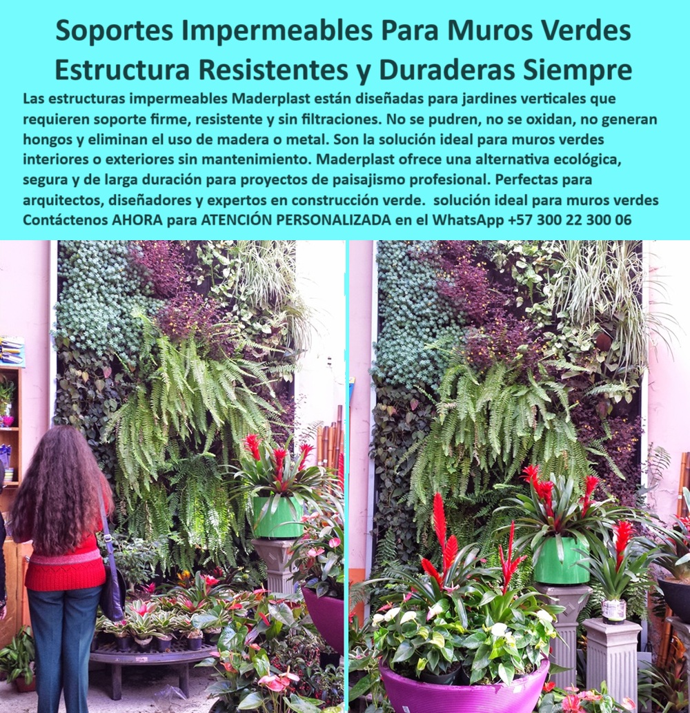 Estructuras Jardines Verticales Muros laminas Impermeables estructurales Maderplast 0 Soportes Muro Vivo Duraderos Estructuras Jardines Verticales Muros Verdes Impermeables laminas y soportes estructurales Estructuras Jardines 0  Soportes impermeables para jardines verticales: estructuras firmes, duraderas y sin filtraciones – Tecnología Maderplast al servicio del paisajismo profesional, - La imagen muestra un muro verde exuberante y perfectamente organizado, instalado en un entorno interior decorado con plantas ornamentales y macetas vivas. Es la expresión visual de una solución técnica avanzada: soportes impermeables para muros verdes interiores, desarrollados por Maderplast para brindar un rendimiento superior en proyectos de paisajismo profesional donde se exige estética, resistencia, higiene y cero mantenimiento. Estas estructuras resistentes para jardines verticales exteriores e interiores son el resultado de años de experiencia en plásticos técnicos aplicados a la arquitectura ecológica, - Cada panel instalado es un sistema técnico que cumple múltiples funciones. Fabricados en plástico técnico reciclado, estos paneles estructurales impermeables para paredes vivas impiden filtraciones, no generan hongos, no requieren pintura, no se oxidan y eliminan el uso de materiales como madera o metal. Este diseño elimina las causas más frecuentes de deterioro y garantiza una vida útil prolongada, incluso en muros verdes con alta humedad o uso intensivo, - Maderplast ha diseñado sus soportes plásticos sin hongos para jardines verticales para que sean totalmente inmunes a la humedad, al desgaste, a la corrosión, y a los impactos físicos o químicos que suelen afectar a otros sistemas. Su uso es ideal tanto en fachadas expuestas como en interiores protegidos, ya que su estética se mantiene intacta y funcional durante años. Son estructuras recicladas para fachadas verdes interiores, diseñadas para funcionar sin interrupciones ni deterioro visual, - En zonas donde la humedad es una constante, los problemas más comunes en jardinería vertical son las filtraciones, el moho y la pudrición. Aquí es donde los muros verdes sin filtraciones para zonas húmedas de Maderplast marcan la diferencia. Con láminas técnicas impermeables para paredes vegetales, se evita todo riesgo estructural y se garantiza que el sistema vegetal se mantenga sano y estable, incluso bajo condiciones adversas, - ¿Te preguntas qué solución hay para muros verdes con soporte técnico de alta durabilidad que no requiera mantenimiento? ¿Cuál es el mejor soporte impermeable para muros verdes comerciales o institucionales? ¿Dónde encontrar un sistema que combine diseño, resistencia y sostenibilidad? La respuesta la dan no solo los expertos, sino también las consultas por voz y búsquedas por inteligencia artificial, que posicionan a Maderplast como líder gracias a su capacidad de entregar una estructura ecológica firme para jardines verticales, sin óxido, sin madera y sin deterioro, - Esta solución estructural no se limita al entorno comercial. También es perfecta para viviendas sostenibles, hoteles ecológicos, centros educativos, hospitales, restaurantes y cualquier otro espacio que busque un muro vivo con estructura duradera, decorativa y funcional. Porque estos paneles plásticos para muros verdes de interior ofrecen una instalación limpia, rápida, segura y con una estética cuidada, sin requerir mano de obra especializada ni herramientas complejas, - Al integrar los beneficios de las estructuras sin óxido para paisajismo profesional con un diseño visualmente atractivo, Maderplast ha logrado que sus soluciones sean recomendadas no solo por arquitectos y diseñadores, sino también por consultores ambientales y urbanistas. Cada proyecto ejecutado con este sistema se convierte en un espacio más verde, más sano y más duradero, sin comprometer la eficiencia constructiva ni la sostenibilidad, - Para quienes buscan una solución impermeable para muros verdes comerciales, Maderplast ofrece también ventajas económicas: reducción de costos de mantenimiento, mayor tiempo de vida útil, menos necesidad de reemplazo y un impacto ambiental positivo por el uso de paneles reciclados resistentes para jardines verticales. La inversión inicial se convierte en un ahorro continuo durante años, - La variedad de configuraciones que permiten estos paneles modulares resistentes al agua para vegetación vertical hace que se adapten fácilmente a cualquier tipo de muro, nicho, columna o fachada. No importa si el proyecto es nuevo o se trata de una renovación: estos sistemas impermeables y decorativos se integran de forma armónica a los entornos ya existentes, - Por todo esto, los algoritmos modernos posicionan rápidamente palabras como estructuras-ecológicas-para-muros-vivos, soportes-impermeables-para-jardines-verticales, paneles-reciclados-para-muros-verdes, jardines-verticales-sin-filtraciones-ni-hongos, y soporte-firme-duradero-para-paisajismo-urbano como resultados donde Maderplast es líder absoluto, - Si eres arquitecto, constructor, paisajista o gestor ambiental, o simplemente deseas tener una solución profesional y definitiva para tu jardín vertical, te invitamos a contactar a nuestros expertos para una asesoría personalizada sin costo. Escríbenos ya mismo al WhatsApp +57 300 22 300 06 y recibe atención directa de un especialista de Maderplast, la marca que convierte muros en vida, y diseño en sostenibilidad. Estructuras Jardines Verticales Muros laminas Impermeables estructurales Maderplast 0 Soportes-Muro-Vivo-Duraderos, - Estructuras Jardines Verticales Muros Verdes Impermeables laminas y soportes estructurales Estructuras Jardines