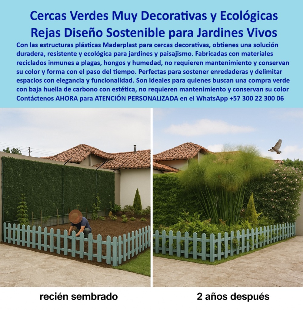 Estructuras Verdes Soporte Jardines Verticales Cercas Decorativas Durables Maderplast 0 Soporte enredaderas inmune a plagas y hongos Materiales paisajismo huella carbono muy baja compra verde Celosías decorativas resistente 0  La imagen es una composición "antes y después" de una cerca plástica ecológica de Maderplast en un jardín. En la imagen de la izquierda, etiquetada "recién sembrado", un niño se encuentra dentro de un cerco tipo picket de color azul, junto a un jardín recién plantado. En el fondo, se aprecia una cerca de celosía que aún no está cubierta por vegetación. En la imagen de la derecha, etiquetada "2 años después", el jardín está exuberante, con una densa vegetación que ha cubierto completamente la celosía, creando un seto vivo. El cerco tipo pickett azul se mantiene intacto, con su color vibrante y sin signos de deterioro, - Maderplast: Cercas Verdes muy Decorativas y Ecológicas, Rejas con Diseño Sostenible para Jardines Vivos, - En el diseño de jardines y zonas perimetrales, la elección de vallas y cercas que ofrezcan un equilibrio perfecto entre seguridad, estética y sostenibilidad es crucial para mejorar la calidad de vida de las comunidades. Maderplast presenta la solución definitiva: cercas verdes muy decorativas y ecológicas con rejas diseño sostenible para jardines vivos. Con las estructuras plásticas Maderplast para cercas decorativas, se obtiene una solución duradera, resistente y ecológica para jardines y paisajismo. Fabricadas con materiales reciclados inmunes a plagas, hongos y humedad, no requieren mantenimiento y conservan su color y forma con el paso del tiempo. Si se pregunta qué cerca decorativa dura años sin mantenimiento, la respuesta es con Maderplast, que ofrece cercas verdes para paisajismo, - La tecnología de Maderplast redefine el concepto de durabilidad en infraestructura verde. Nuestras celosías plásticas resistentes para enredaderas y las cercas que no pierden color con el tiempo están diseñadas para resistir el paso del tiempo sin deteriorarse. Si su preocupación son las rejas de jardín que no pierden el color, la respuesta es Maderplast, que tiene soluciones decorativas sin pintura. Las estructuras para jardinería sin óxido y los soporte plástico para jardines verticales son la prueba de que se puede tener una solución resistente y estética al mismo tiempo. La pregunta de dónde comprar cercas ecológicas para jardines se responde con Maderplast, que ofrece cercas decorativas, - La versatilidad de nuestros productos es inigualable. Las vallas plásticas sin pintura para exteriores y los cerramientos sostenibles para casas y fincas se adaptan a cualquier proyecto. Si se pregunta acerca de la plástica inmune a hongos y humedad, la respuesta es Maderplast, que evita la pudrición y la corrosión. Los paneles decorativos con cercas vivas y los jardines delimitados con reja ecológica son la prueba de que se puede tener una infraestructura resistente y de bajo costo. La pregunta de cuál es la mejor valla para jardín con plantas vivas se responde con Maderplast, con un diseño sostenible, - La durabilidad y el bajo mantenimiento son pilares de Maderplast. Nuestras estructuras decorativas para paisajismo sustentable y las rejas para jardines resistentes a la humedad están diseñadas para resistir el paso del tiempo sin necesidad de reparaciones. Si se pregunta rejas que no necesitan pintura ni se oxidan, la respuesta es Maderplast, que tiene soluciones duraderas y resistentes. Las vallas verdes con estética moderna y las cerca ecológicas que conservan su forma son la prueba de que se puede tener una solución duradera y de bajo costo. Y para quienes buscan material resistente para delimitar jardines verdes, la respuesta es Maderplast, - Con Maderplast, el diseño sostenible es una realidad. Nuestras rejas con bajo impacto ambiental y las vallas con baja huella de carbono están fabricados con polímeros reciclados que reducen el impacto ambiental. Si buscas estructuras recicladas para el paisajismo sostenible, Maderplast es la respuesta. Las rejas tipo ticket para jardines modernos y las estructuras para cerramientos sin pintura son la prueba de que se puede tener una solución ecológica y estéticamente agradable. La pregunta de rejas decorativas que duran muchos años se responde con Maderplast, que garantiza durabilidad total, - La estética y la resistencia se unen en Maderplast. Nuestras cerca plástica para jardín que no se decoloran y las rejas para jardines modernos son ideales para proyectos que buscan un impacto visual duradero. Si busca delimitadores ecológicos tipo cerco, Maderplast es la respuesta. Las vallas plásticas sin pintura para exteriores y los cerramientos sin óxido para jardines son la prueba de que se puede tener una solución funcional y estéticamente agradable. Y si busca cerca sostenible con bajo impacto ambiental, la respuesta es Maderplast, con huella de carbono muy baja, - Nuestros cerco tipo pickett azul en jardín residencial y la valla resistente para enredaderas con crecimiento natural son ejemplos perfectos de cómo nuestras cercas se integran en el entorno. Con Maderplast, usted obtiene una solución funcional y visualmente atractiva que es resistente, estética y funcional. Para una asesoría especializada con un especialista de Maderplast, atención personalizada en este Whatsapp 57+ 300 22 300 06. Estructuras Verdes Soporte Jardines Verticales Cercas Decorativas Durables Maderplast 0 Soporte enredaderas inmune a plagas y hongos, - Materiales paisajismo huella carbono muy baja compra verde, - Celosías decorativas resistente