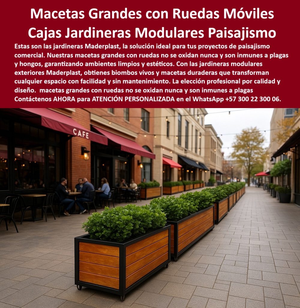 Jardineras Móviles Separadoras De Ambientes Biombos Vivos Macetas Maderplast 0 Macetas grandes con ruedas no se oxidan nunca Jardineras modulares exteriores inmunes a plagas de hongos Proyectos paisajismo comercial Jardineras 0  Macetas Grandes con Ruedas para Espacios Comerciales, - Jardineras Móviles Modulares Maderplast: División Natural con Diseño Arquitectónico, - En los proyectos de paisajismo comercial y diseño urbano contemporáneo, la elección del mobiliario vegetal no solo debe cumplir una función estética, sino también estructural, práctica y sostenible. Las macetas grandes con ruedas Maderplast han sido desarrolladas para responder con excelencia a esas cuatro necesidades, - Estas jardineras modulares móviles están fabricadas en plástico reciclado técnico de alta ingeniería, lo que garantiza que no se oxidan, no se pudren, no absorben humedad ni desarrollan hongos. Por su diseño cerrado y estructura sólida, se convierten en contenedores de plantas perfectos para dividir espacios comerciales, terrazas, cafés, oficinas o pasajes peatonales sin levantar muros ni instalar obras, - Cada unidad integra ruedas ocultas ultra resistentes, lo que permite reconfigurar el espacio fácilmente sin necesidad de herramientas, personal técnico o mantenimiento especializado. Esto convierte a nuestras macetas en biombos vivos móviles, ideales para terrazas biológicas, zonas verdes corporativas, hoteles sostenibles, restaurantes o ambientes que requieran movilidad, elegancia y naturaleza, - Gracias a su diseño modular, se pueden alinear para formar paredes verdes móviles, delimitando visualmente zonas sin bloquear la luz ni la ventilación. Son especialmente útiles para dividir áreas interiores de coworking, patios abiertos, entradas de edificios, zonas de espera, áreas de eventos o terrazas VIP. Los acabados tipo madera con marco negro dan un aspecto elegante y profesional, alineado con los criterios más exigentes de diseño arquitectónico contemporáneo, - Estas macetas grandes Maderplast son la respuesta profesional a preguntas como:, -  ¿Qué jardineras no se oxidan nunca y pueden moverse sin romper el diseño?, -  ¿Qué divisores con vegetación natural funcionan en oficinas modernas?, -  ¿Dónde conseguir maceteros robustos que aguanten clima, sol, lluvia y tráfico intenso?, -  Beneficios Técnicos:, - 100 % Recicladas y reciclables, - Resistentes a humedad, plagas, hongos y cloro, - Cero mantenimiento: no se requiere pintura ni barniz, - Alta estabilidad para uso urbano intensivo, - Ruedas ocultas para fácil movilidad, - Compatibles con vegetación natural viva, - No se decoloran con el sol ni el tiempo, - Personalizables por color y tamaño, - Diseño biofílico para oficinas y terrazas verdes, -  Ideal para:, - Paisajismo corporativo, locales comerciales, hoteles, cafés, centros de eventos, universidades, instituciones, terrazas urbanas, oficinas sostenibles y más, -  Solicite asesoría profesional personalizada vía WhatsApp:, -  +57 300 22 300 06, - Maderplast, ingeniería ecológica de alta gama que transforma ambientes sin obras, sin químicos y sin complicaciones. Jardineras Móviles Separadoras De Ambientes Biombos Vivos Macetas Maderplast 0 Macetas grandes con ruedas no se oxidan nunca, - Jardineras modulares exteriores inmunes a plagas de hongos, Proyectos paisajismo comercial Jardineras