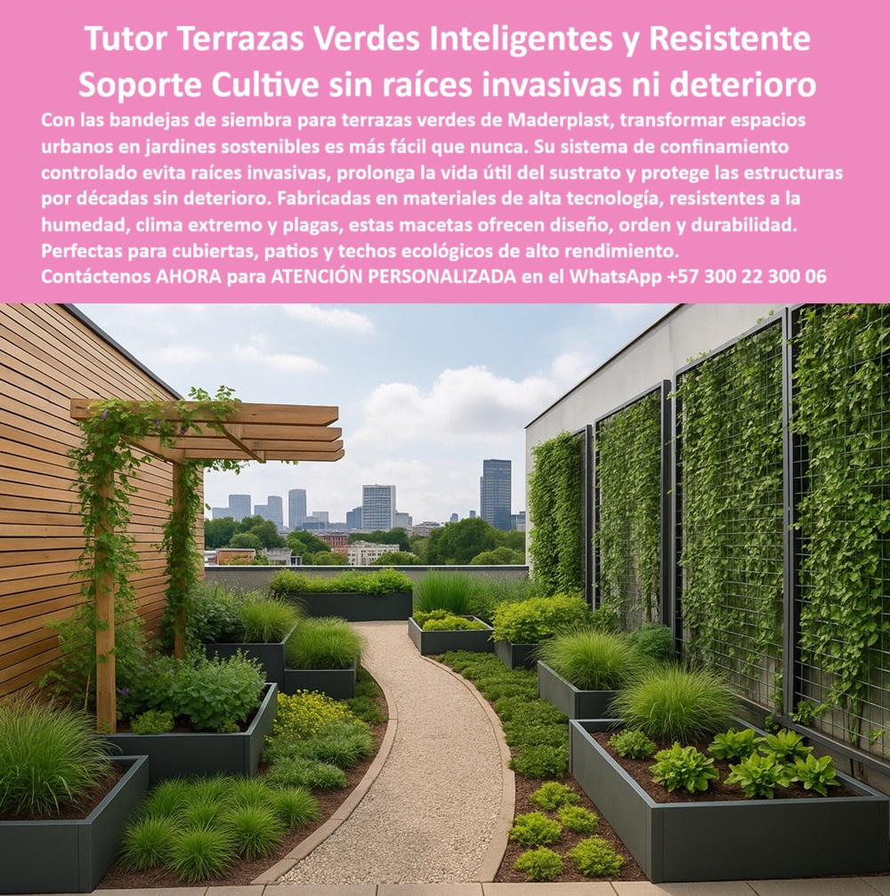 Jardines Hidropónicos Controlados Bandejas Siembra Terrazas Macetas Maderplast 0 Bandejas Siembra Terrazas Verdes Confinamiento jardines urbanos sin deterioro por décadas Subsuelos controlados siembra evitan raíces invasiva 0  En esta foto se observa una terraza ajardinada en la azotea de un edificio, con una impresionante vista de una ciudad moderna en el fondo. Un camino sinuoso de gravilla divide el espacio, bordeado por bandejas de siembra para terrazas verdes urbanas de color gris oscuro, rectangulares y de diferentes tamaños, dispuestas de manera modular y armoniosa. Estas macetas albergan una variedad de plantas verdes, como gramíneas y arbustos bajos, que crean un ambiente natural y ordenado. A la derecha, un muro de celosía metálica sirve de soporte para una densa vegetación trepadora que forma un jardín vertical. A la izquierda, una pérgola de madera con una enredadera aporta un toque rústico y natural. La imagen en su conjunto muestra un espacio de cultivo sostenible y de alta tecnología, donde el diseño, la funcionalidad y la protección estructural se han logrado con maestría, - Maderplast: La Revolución de las Terrazas Verdes con un Sistema de Cultivo Inteligente y Resistente, - En la era de la arquitectura sostenible y los espacios urbanos, la creación de jardines en altura se ha convertido en una prioridad. Sin embargo, los jardines tradicionales conllevan riesgos de deterioro estructural por filtraciones y raíces invasivas. Maderplast presenta la solución definitiva: jardines hidropónicos controlados bandejas siembra terrazas macetas Maderplast . Nuestras bandejas de siembra para terrazas verdes urbanas y jardinería técnica modular con raíces controladas son la base para crear espacios verdes seguros, funcionales y duraderos. El sistema de confinamiento de jardines urbanos sin deterioro por décadas evita que las raíces dañen las estructuras, prolongando la vida útil del sustrato y protegiendo las cubiertas. Si usted se pregunta qué bandeja usar para terrazas verdes sin raíces invasivas , la respuesta es una maceta técnica con confinamiento controlado que solo Maderplast puede ofrecer, - Nuestra tecnología redefine la jardinería urbana. Las macetas para terrazas con subsuelo confinado y las bandejas para techos verdes con confinamiento radicular garantizan que la belleza de su jardín no comprometa la integridad de su edificio. Si su preocupación es cuál es el mejor sistema para terrazas verdes sin deterioro , le aseguramos que nuestras bandejas con subsuelo técnico anticorrosión son la solución. Las estructuras para cultivo urbano sin raíces invasivas y las macetas técnicas que evitan el daño estructural son una inversión inteligente a largo plazo. La pregunta de qué maceta evita que las raíces dañen el piso se responde con nuestros contenedores plásticos con sistema radicular confinado , - La funcionalidad es el pilar de Maderplast. Nuestras jardineras inteligentes para terrazas verdes sin deterioro y las bandejas técnicas para jardines de alto rendimiento están diseñadas para resistir el clima extremo y las plagas sin necesidad de mantenimiento constante. Si se pregunta cómo evitar raíces invasoras en techos verdes , nuestra solución es clara: jardineras con base sellada y control de humedad . El cultivo en terrazas con sistema anti raíces invasivas y las bandejas de siembra que prolongan la vida del sustrato son la prueba de que se puede tener un jardín exuberante sin los riesgos asociados. Para quienes buscan qué usar para cultivo urbano sin daño estructural , nuestras bandejas técnicas con retención de raíces invasivas son la elección perfecta, - La versatilidad de nuestros productos es inigualable. Los módulos para cultivo sostenible en terrazas de edificios y las estructuras para jardines urbanos con riego controlado se adaptan a cualquier diseño. Si su pregunta es cuál es la mejor bandeja para techos verdes urbanos , le aseguramos que nuestra maceta modular de alta resistencia sin filtraciones es la respuesta. Los maceteros resistentes para terrazas con humedad constante y el sistema modular de cultivo para terrazas inteligentes son la solución perfecta para cualquier proyecto. Y si busca qué estructura usar para siembra en terrazas , las bandejas Maderplast técnicas con drenaje controlado son la mejor opción, - Con Maderplast, la sostenibilidad y la durabilidad se unen. Las bandejas plásticas para siembra sin mantenimiento y las macetas técnicas anticorrosión para zonas exteriores están diseñadas para resistir el paso del tiempo. Si se pregunta qué bandejas resisten el clima extremo en terrazas , nuestros contenedores plásticos ecológicos de alta durabilidad son la respuesta. Las técnicas de jardinería para cubiertas ecológicas sostenibles y el sistema modular de cultivo para terrazas inteligentes son la prueba de que se puede tener un jardín ecológico sin comprometer la seguridad. Para quienes buscan qué usar para plantar sin dañar cubiertas , nuestros maceteros técnicos que protegen la estructura por décadas son la inversión más inteligente, - El diseño y la funcionalidad se fusionan en Maderplast. Nuestras bandejas para plantas urbanas en cubiertas técnicas y las jardinería estructural para techos con plantas vivas ofrecen una solución estética y ordenada. Si buscas una solución para la jardinería urbana con orden y estética , nuestras bandejas de siembra son la respuesta. Las estructuras plásticas de cultivo urbano sin degradación y la jardinería técnica para cubiertas ecológicas sostenibles son ideales para cualquier proyecto. Para una asesoría especializada atención con un especialista de Maderplast, personalizado en este Whatsapp 57+ 300 22 300 06 . Jardines Hidropónicos Controlados Bandejas Siembra Terrazas Macetas Maderplast 0 Bandejas Siembra Terrazas Verdes, - Confinamiento jardines urbanos sin deterioro por décadas, - Subsuelos controlados siembra evitan raíces invasiva