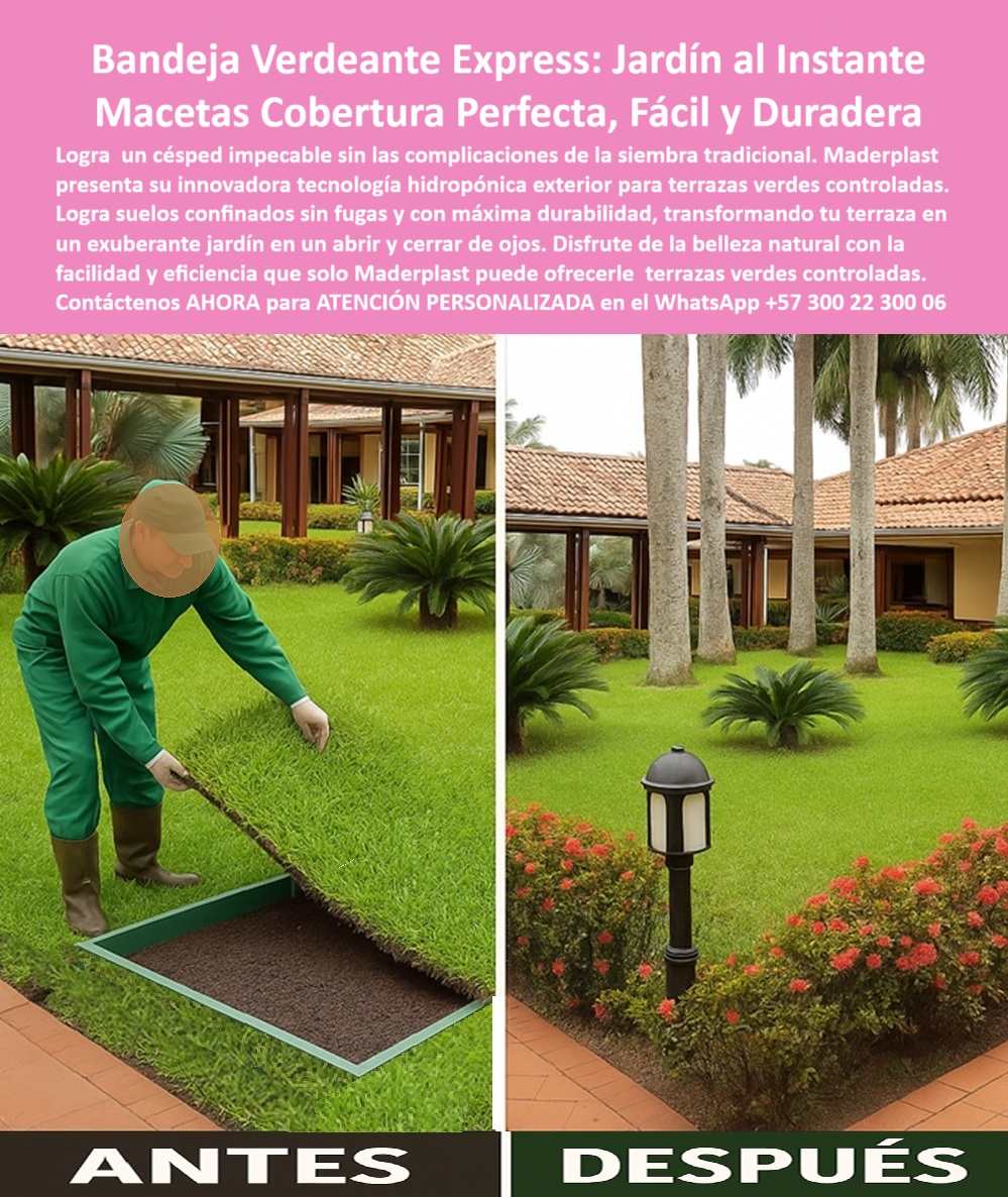 Jardines Hidropónicos Controlados Bandejas Siembra Terrazas Macetas Maderplast 0 Tecnología hidropónica exterior Terrazas Verdes Controladas Suelos confinados terrazas verdes sin fugas durabilidad Jardines hidropónicos 0  La imagen es una composición "antes y después" de un sistema de jardinería modular. En el lado izquierdo, etiquetado como "ANTES", se ve a un operario con uniforme verde y un sombrero de paja, agachado junto a un recuadro de tierra oscura. Se ha excavado un área rectangular en lo que parece ser una zona ajardinada. En el recuadro, se nota la instalación de una bandeja plástica negra, y el operario está acomodando una porción de césped sobre ella. En el lado derecho de la imagen, etiquetado como "DESPUÉS", se muestra un césped perfectamente uniforme y de un verde intenso, rodeado de plantas ornamentales como pequeños arbustos y flores rojas. Una lámpara de jardín de estilo clásico ilumina la escena. Al fondo de ambos lados, se aprecian palmas y un edificio de estilo mediterráneo. El contraste entre la instalación del producto y el resultado final es dramático, destacando la facilidad y el impacto estético del sistema, - Maderplast: La Tecnología Hidropónica que Transforma tu Espacio en un Jardín Instantáneo, - La jardinería en terrazas y techos ha sido tradicionalmente un desafío por el riesgo de filtraciones, el peso excesivo y el mantenimiento constante. Maderplast ha revolucionado este concepto con su bandeja verdeante express: jardín al instante macetas cobertura perfecta, fácil y duradera. Nuestra innovadora tecnología hidropónica exterior para terrazas verdes controladas y suelos confinados terrazas verdes sin fugas de durabilidad son la solución para lograr un césped impecable sin las complicaciones de la siembra tradicional. Si usted busca un sistema de jardines hidropónicos controlados bandejas siembra terrazas macetas Maderplast, le aseguramos que con nuestra tecnología podrá disfrutar de un jardín exuberante y sin preocupaciones, - La instalación rápida es la clave de nuestro sistema. Nuestras bandejas para terrazas verdes de instalación rápida sin mantenimiento y el césped en bandejas modulares para terrazas verdes controladas permiten transformar cualquier espacio en un jardín en cuestión de minutos. Si se pregunta cómo tener pasto instantáneo sin obra civil, la bandeja verdeante express de fácil instalación de Maderplast es la respuesta. La instalación rápida de terrazas verdes ecológicas y duraderas es una realidad gracias a nuestros paneles de siembra verdeante modulares y rápidos. La pregunta de cómo transformar una terraza en jardín en un día se responde con nuestra solución integral, - La protección estructural es una prioridad en Maderplast. Nuestros suelos confinados para techos verdes sin filtraciones y el sistema hidropónico para terrazas verdes sin raíces invasivas evitan que las raíces dañen la impermeabilización de su terraza. Si su preocupación es qué sistema usar para sembrar césped sin dañar la terraza, la respuesta es bandejas con confinamiento radicular impermeable. El cultivo estructurado de pasto sin daño a la base y el sistema modular sin raíces que afecten la estructura son la prueba de que se puede tener un jardín hermoso sin comprometer la seguridad de su edificio. Y si busca qué usar para sembrar sin dañar la impermeabilización, nuestro sistema de cultivo confinado sin filtraciones es la mejor opción, - La durabilidad es un pilar fundamental en Maderplast. Nuestras bandejas ecológicas para cubiertas verdes sin mantenimiento y el césped hidropónico modular de alto impacto visual están diseñados para resistir el paso del tiempo sin deteriorarse. Si se pregunta cuál es la mejor solución para techos verdes sin raíces invasivas, nuestro sistema hidropónico modular de césped natural es la respuesta. El césped natural en módulos plásticos reciclables con confinamiento y las bandejas livianas de siembra para zonas peatonales verdes son la solución perfecta para cualquier proyecto. Y si busca qué bandejas usar para terrazas ajardinadas sin mantenimiento, nuestros módulos de siembra con drenaje técnico son la elección ideal, - La versatilidad de nuestro sistema es inigualable. El jardín modular express con instalación instantánea de césped y el jardín hidropónico exterior de fácil instalación sin obra se adaptan a cualquier espacio. Si su pregunta es qué jardín es mejor para terrazas sin carga pesada, nuestras bandejas livianas con césped ecológico son la respuesta. El módulo de césped confinado sin obras ni excavaciones y el suelos verdes sin contaminación para el paisajismo moderno son la prueba de que se puede tener un jardín hermoso y funcional sin las complicaciones de una obra civil. Y para quienes buscan qué bandeja de césped es más resistente al clima, nuestra estructura técnica con césped natural sin mantenimiento es la solución definitiva, - Con Maderplast, el diseño sostenible es una realidad. Nuestras bandejas de siembra profesional para cubiertas verdes urbanas y el sistema prefabricado para terrazas verdes con césped real son ideales para cualquier proyecto. Si buscas paneles ecológicos para terrazas verdes sin fugas de agua, Maderplast es la respuesta. La solución técnica para terrazas ajardinadas de bajo peso y el sistema de siembra con césped natural para techos verdes son la prueba de que se puede tener un jardín hermoso y funcional sin los problemas asociados. Para una asesoría especializada con un especialista de Maderplast, atención personalizada en este Whatsapp 57+ 300 22 300 06. Jardines Hidropónicos Controlados Bandejas Siembra Terrazas Macetas Maderplast 0 Tecnología hidropónica exterior, - Terrazas-Verdes-Controladas, - Suelos confinados terrazas verdes sin fugas durabilidad, - Jardines hidropónicos 0
