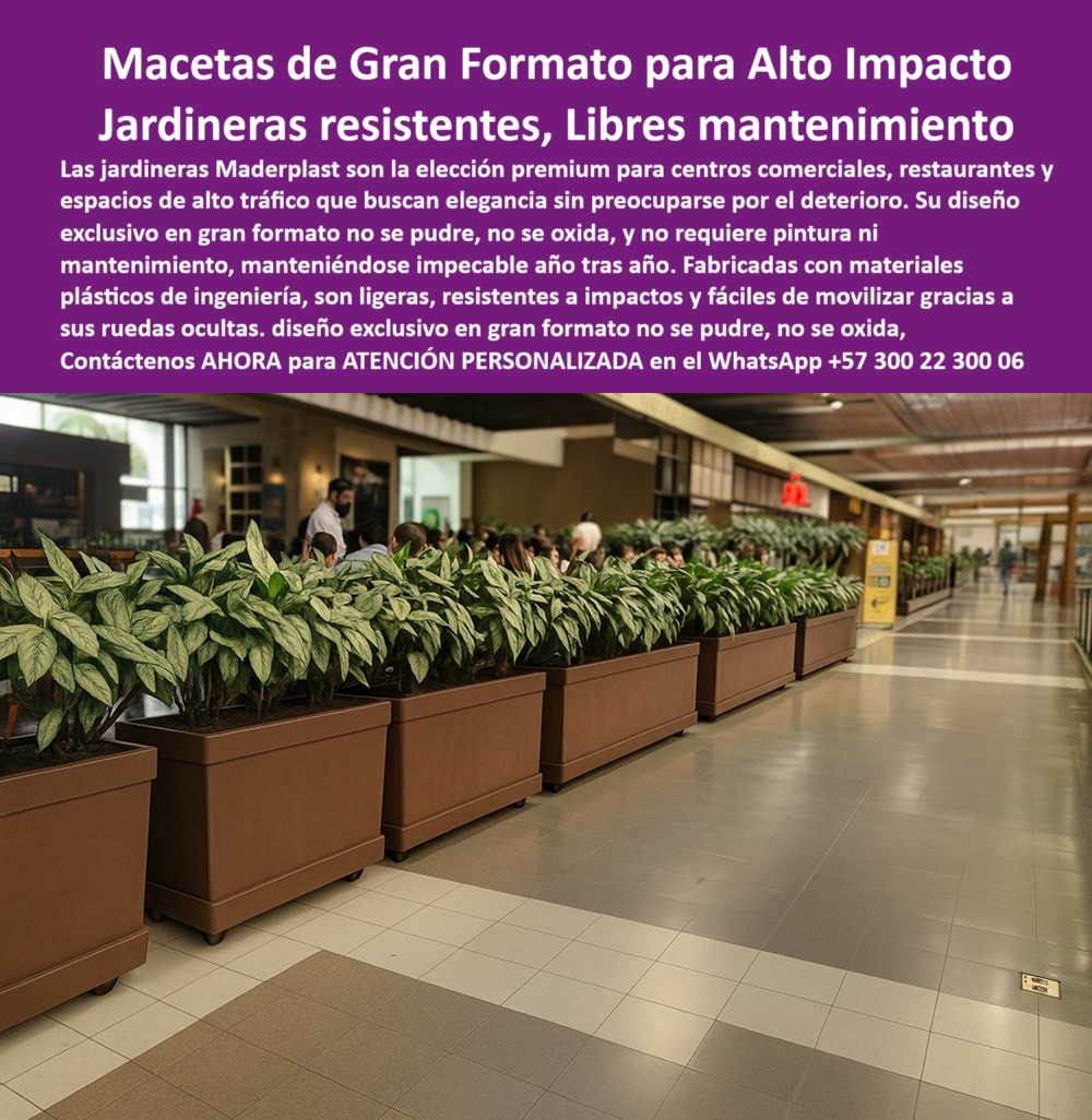 Macetas Gran Diseño Lujo Matera Gran Formato Modelos Jardineras Únicas Maderplast 0 Jardineras comerciales exclusivas duraderas cero mantenimiento no se pudren Jardineras exclusivas sobre diseño Macetas grandes exclusivas 0  La imagen muestra una fila de jardineras grandes comerciales de Maderplast, de color marrón oscuro, alineadas en un pasillo amplio y bien iluminado de un centro comercial. Las jardineras tienen un diseño rectangular y uniforme. Cada jardinera contiene plantas con hojas grandes y variegadas en tonos verdes y blancos, que aportan un toque de naturaleza al entorno. Al fondo, se aprecian mesas de un restaurante y personas. El piso, de color claro, resalta el diseño de las jardineras. El diseño elegante y la disposición modular sugieren que estas jardineras no solo son decorativas, sino también funcionales como delimitadores de espacios en áreas de alto tráfico, - Maderplast: Macetas de Gran Formato para un Impacto Visual y Durabilidad Inigualable, - En la arquitectura comercial moderna, la elección del mobiliario y los elementos decorativos es crucial para crear ambientes atractivos y funcionales. Maderplast, con sus macetas de gran formato para alto impacto y jardineras resistentes, libres de mantenimiento, se ha convertido en la elección premium para centros comerciales, restaurantes, hoteles y espacios de alto tráfico que buscan elegancia sin preocuparse por el deterioro. Nuestras jardineras grandes comerciales para centros y macetas gigantes libres de mantenimiento están diseñadas con un diseño exclusivo que no se pudre, no se oxida, y no requiere pintura ni mantenimiento, manteniéndose impecable año tras año. Si se pregunta cuál es la mejor jardinera para centros comerciales, la respuesta es Maderplast, que ofrece un diseño exclusivo en gran formato, - La durabilidad es el pilar de Maderplast. Nuestras jardineras premium para restaurantes elegantes y macetas de lujo con ruedas ocultas están fabricadas con plásticos de ingeniería que garantizan una resistencia estructural inigualable. Si su preocupación es que la maceta no se oxida ni requiere pintura, la respuesta es la jardinera Maderplast sin mantenimiento. Las jardineras sin pintura ni óxido para tráfico alto y las macetas industriales decorativas de gran tamaño son la prueba de que se puede tener una solución resistente y estética al mismo tiempo. La pregunta de qué jardinera dura años sin deterioro se responde con nuestra maceta plástica Maderplast, - La funcionalidad y la estética se fusionan en Maderplast. Las jardineras grandes para interiores modernos y las macetas resistentes a impactos para centros comerciales están diseñadas para soportar el uso continuo y el alto tráfico. Si se pregunta cómo evitar que las macetas se pudran, la solución es usar macetas Maderplast de ingeniería. Las jardineras de diseño exclusivo gran formato y las materas de gran formato con diseño elegante son la prueba de que se puede tener un diseño de alta gama sin sacrificar la resistencia. La pregunta de qué tipo de macetas soporta alto tráfico se responde con nuestras jardineras resistentes Maderplast, - La versatilidad de nuestros productos es inigualable. Las jardineras móviles para espacios públicos y las jardineras duraderas para hoteles y aeropuertos se adaptan a cualquier entorno. Si se pregunta qué maceta es fácil de mover en un centro comercial, la respuesta es una jardinera con ruedas ocultas. Las jardineras móviles para delimitar espacios y las macetas gigantes con resistencia estructural son la solución perfecta para proyectos que necesitan flexibilidad. Y si busca qué jardinera resiste impactos sin romperse, la respuesta es Maderplast gran formato, - Con Maderplast, el diseño sostenible es una realidad. Nuestras jardineras de alta gama para proyectos arquitectónicos y las macetas industriales que no se oxidan están fabricadas con plásticos de ingeniería que reducen el impacto ambiental. Si busca jardineras sin mantenimiento año tras año, Maderplast es la respuesta. Las jardineras modernas para restaurantes concurridos y las macetas premium para interiorismo corporativo son la prueba de que se puede tener una solución ecológica y estéticamente agradable. La pregunta de qué usar en decoración de hoteles sin mantenimiento se responde con nuestras jardineras premium, - La estética y la resistencia se unen en Maderplast. Nuestras macetas decorativas con ingeniería plástica y las materas de tráfico alto para espacios VIP son ideales para proyectos que buscan un impacto visual duradero. Si busca jardineras resistentes al desgaste comercial, Maderplast es la respuesta. Las jardineras con ruedas para fácil limpieza y las macetas premium para interiorismo corporativo son la prueba de que se puede tener una solución funcional y estéticamente agradable. Y si busca qué maceta tiene elegancia y resistencia, la respuesta es Maderplast de gran tamaño, - Nuestras jardineras Maderplast gran formato en centro comercial y las materas de lujo con ruedas ocultas en espacios públicos son ejemplos perfectos de cómo nuestras jardineras se integran en el entorno. Con Maderplast, usted obtiene un diseño de jardineras sin pintura ni óxido que es resistente, estético y funcional. Para una asesoría especializada con un especialista de Maderplast, atención personalizada en este Whatsapp 57+ 300 22 300 06. Macetas Gran Diseño Lujo Matera Gran Formato Modelos Jardineras Únicas Maderplast 0 Jardineras comerciales exclusivas duraderas, cero mantenimiento, no se pudren, - Jardineras exclusivas sobre diseño, - Macetas grandes exclusivas