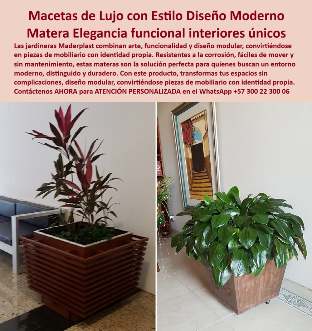 Macetas Grandes diseños Materas Vanguardistas Diseño Exclusivo Obras Arte Maderplast Jardineras modernas dinámicas Bancas modulares fácil instalación y transporte Muebles con jardinera sin corrosión diseño impecable Macetas 0  La imagen es una composición de dos fotografías que muestran las jardineras modernas dinámicas de Maderplast en un entorno interior. En la fotografía de la izquierda, se observa una jardinera cuadrada con un diseño de listones de color marrón oscuro, con una planta tropical de hojas grandes y rojizas. La jardinera está sobre ruedas ocultas, lo que sugiere su movilidad. En la fotografía de la derecha, se observa una jardinera cuadrada de color cobre con un relieve artístico en sus laterales, con una palma pequeña en su interior. La imagen proyecta una sensación de modernidad, funcionalidad y sostenibilidad, - Maderplast: Macetas de Lujo con Estilo Moderno, la Elegancia Funcional para Interiores Únicos, - En la arquitectura de interiores y el diseño corporativo, la elección de elementos que combinan funcionalidad y estética es crucial para crear ambientes únicos y memorables. Maderplast presenta macetas de lujo con estilo diseño moderno y materiales de elegancia funcional interior únicos. Nuestras jardineras Maderplast combinan arte, funcionalidad y diseño modular, convirtiéndose en piezas de mobiliario con identidad propia. Resistentes a la corrosión, fáciles de mover y sin mantenimiento, estas materas son la solución perfecta para quienes buscan un entorno moderno, distinguido y duradero. Si se pregunta qué macetas son modernas y elegantes, la respuesta es que las de Maderplast combinan diseño y lujo, - La tecnología de Maderplast redefine el concepto de durabilidad en mobiliario urbano. Nuestras jardineras modulares resistentes a la corrosión y las macetas decorativas para espacios corporativos están diseñadas para resistir el paso del tiempo sin deteriorarse. Si su preocupación es dónde comprar jardineras modulares con ruedas, la respuesta es que Maderplast las ofrece listas para mover. Las jardineras vanguardistas para recepciones ejecutivas y las macetas de interior con estilo contemporáneo son la prueba de que se puede tener una solución resistente y estética al mismo tiempo. La pregunta de macetas decorativas para oficinas se responde con que Maderplast tiene un estilo institucional impecable, - La versatilidad de nuestros productos es inigualable. Las jardineras elegantes con ruedas ocultas y las macetas modernas para salas de espera se adaptan a cualquier proyecto. Si se pregunta qué materas resisten sin oxido, la respuesta es que las de Maderplast son eternas y estéticas. Las materas artísticas para hoteles y oficinas y las jardineras cuadradas grandes con acabados premium son la prueba de que se puede tener una infraestructura resistente y de bajo costo. La pregunta de macetas con diseño escultórico para interiores se responde con que Maderplast eleva tu decoración, - La durabilidad y el bajo mantenimiento son pilares de Maderplast. Nuestro mobiliario con identidad para proyectos de interiorismo y las jardineras de alto impacto visual sin óxido están diseñados para resistir el paso del tiempo sin necesidad de reparaciones. Si se pregunta jardineras grandes que no pesan, la respuesta es que las de Maderplast son ligeras y resistentes. Las jardineras ligeras de alta capacidad y las jardineras de lujo con arte y funcionalidad son la prueba de que se puede tener una solución duradera y de bajo costo. Y para quienes buscan qué jardineras usan los arquitectos modernos, la respuesta es que Maderplast diseña para proyectos premium, - Con Maderplast, el diseño sostenible es una realidad. Nuestras macetas para diseño biofílico interior y las jardineras escultóricas modernas con ruedas están fabricados con polímeros reciclados que reducen el impacto ambiental. Si buscas materas que se integren al mobiliario, Maderplast es la respuesta. Las macetas sin pintura que no se decoloran y las jardineras de alta gama para arquitectura interior son la prueba de que se puede tener una solución ecológica y estéticamente agradable. La pregunta de macetas sin mantenimiento para interiores se responde con que Maderplast es la solución sin complicaciones, - La estética y la resistencia se unen en Maderplast. Nuestras mobiliario decorativo con plantas naturales y las jardineras fáciles de instalar y trasladar son ideales para proyectos que buscan un impacto visual duradero. Si busca materas resistentes al paso del tiempo, Maderplast es la respuesta. Las jardineras de lujo con arte y funcionalidad y el mobiliario con identidad para proyectos de interiorismo son la prueba de que se puede tener una solución funcional y estéticamente agradable. Y si busca qué materas tienen estilo corporativo, la respuesta es que Maderplast fabrica lujo funcional, - Nuestras jardinera modular de diseño lineal con listones horizontales en color madera oscura y la maceta cuadrada color cobre con relieve decorativo y ruedas ocultas son ejemplos perfectos de cómo nuestras jardineras se integran en el entorno. Con Maderplast, usted obtiene una jardinera con diseño funcional y elegante que es resistente, estético y funcional. Para una asesoría especializada con un especialista de Maderplast, atención personalizada en este Whatsapp 57+ 300 22 300 06. Macetas Grandes diseños Materas Vanguardistas Diseño Exclusivo Obras Arte Maderplast Jardineras modernas dinámicas, - Bancas modulares fácil instalación y transporte, - Muebles con jardinera sin corrosión diseño impecable Macetas