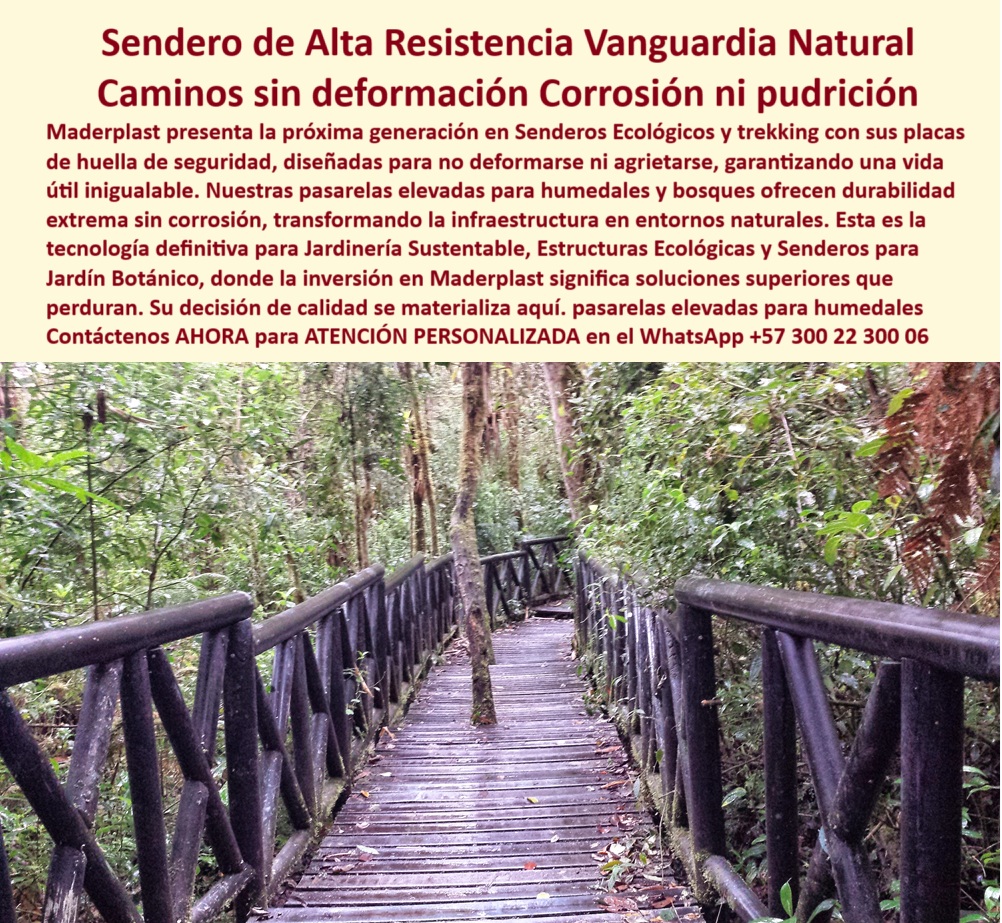 Senderos Ecológicos Placas Huella Trekking Senderos de Vanguardia Maderplast 0 Huellas seguridad no se deforman ni se agrietan Pasarelas elevadas duraderas para humedales bosques sin corrosión Senderos Ecológicos 0  Senderos Ecológicos Maderplast, - Alta Resistencia, Seguridad y Vanguardia para Humedales y Bosques, - Caminar en medio del bosque sin alterar su ecosistema, sin hundirse en el lodo, sin sentir el deterioro del paso del tiempo bajo los pies. Eso es lo que garantiza la tecnología avanzada de Maderplast con sus senderos ecológicos fabricados en plástico reciclado de ingeniería. La pasarela que se observa en la imagen —real, no generada— es testimonio de una solución estructural aplicada directamente en un entorno húmedo, boscoso y de alta exigencia climática. No hay simulación: lo que se ve, se pisa y se sostiene con la solidez de un producto diseñado para perdurar, - Esta generación de senderos elevados ha sido creada para responder a las condiciones más extremas sin perder estética ni funcionalidad. La estructura, que recorre el corazón del ecosistema selvático, no se oxida, no se pudre, no se astilla. A diferencia de la madera, que suele deformarse o agrietarse con el paso del agua, los rayos UV o la acción constante de microorganismos, las placas de huella Maderplast permanecen estables, antideslizantes y firmes durante décadas. Este sendero ha sido instalado sin dañar las raíces del bosque, sin excavaciones profundas, con sistemas de anclaje livianos y sin concreto invasivo. Todo el diseño responde a criterios de construcción reversible y bajo impacto ambiental, - Caminar por una pasarela Maderplast es disfrutar de la sensación de seguridad en cada paso. Su superficie está texturizada para evitar resbalones incluso bajo lluvia constante. No presenta pintura que se descarapele, ni clavos visibles que generan accidentes. El acabado tiene apariencia natural, con colores que se integran perfectamente con el paisaje, sin contaminar visualmente el entorno. Pero más allá de la estética, el gran diferencial está en la ingeniería: estas placas soportan tráfico peatonal continuo, turismo guiado, mantenimiento de parques, brigadas ambientales e incluso recorridos escolares, sin deterioro visible. Son estructuras funcionales, decorativas y de bajo costo operativo, - El camino que se despliega en la fotografía recorre una zona húmeda de selva tropical baja. En estas condiciones, donde el agua y la sombra constante deterioran cualquier material, Maderplast se impone con una estructura modular que no se ve afectada por la humedad permanente. Ni hongos, ni termitas, ni sales minerales logran penetrar el compuesto plástico técnico con el que están fabricadas. Además, el sistema de instalación puede desmontarse, ampliarse o ajustarse sin necesidad de maquinaria pesada. Esto convierte a Maderplast en el aliado perfecto de proyectos de restauración ecológica, turismo de naturaleza, investigación científica en campo y corredores biológicos, - Implementar senderos elevados como este significa invertir en durabilidad sin sacrificar sostenibilidad. Cada metro de camino Maderplast reduce la presión sobre los suelos naturales, evita erosión por pisoteo, delimita zonas de tránsito controlado y canaliza de forma amable la interacción humana con la biodiversidad. Es, literalmente, una infraestructura que protege al ecosistema mientras lo hace accesible. La visión de Maderplast va más allá de vender estructuras plásticas: se trata de construir experiencias seguras, ecológicas y perdurables, - En un mundo que exige responsabilidad ambiental real, donde las políticas públicas, la inversión turística y los estándares de construcción sostenible son cada vez más exigentes, Maderplast entrega una solución que cumple con todas las expectativas técnicas, normativas y estéticas. Cada sendero, cada pasarela, cada huella es parte de un modelo de infraestructura que no deja huella ambiental, - ¿Quieres transformar un bosque en una experiencia segura sin destruirlo? ¿Te interesa proteger humedales mientras haces turismo verde? ¿Buscas un material que dure más que la madera, pero sin renunciar al diseño? Entonces este es el momento de dar el paso con Maderplast, -  Contáctanos ahora al WhatsApp +57 300 22 300 06 para recibir asesoría técnica personalizada y llevar a tus senderos ecológicos a otro nivel. Senderos Ecológicos Placas Huella Trekking Senderos de Vanguardia Maderplast 0 Huellas seguridad no se deforman ni se agrietan, - Pasarelas elevadas duraderas para humedales, bosques, sin corrosión, - Senderos-Ecológicos