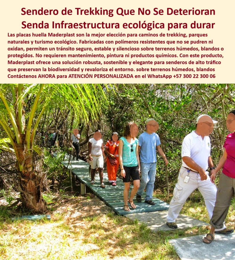 Senderos Ecológicos Placas Huella Trekking Senderos de Vanguardia Maderplast 0 Placas huella para trekking alta resistencia no se pudren ni oxidan Infraestructura para turismo ecológica durabilidad garantizada senderos 0  Senderos de Trekking que No se Deterioran: Infraestructura Ecológica para el Turismo del Futuro, - Cuando hablamos de senderismo ecológico, pensamos en recorridos seguros, estéticos y sostenibles que invitan al contacto con la naturaleza sin alterar su equilibrio. Sin embargo, el gran reto técnico y ambiental es construir caminos sobre suelos blandos, húmedos o pantanosos sin que se deterioren, sin químicos, sin cemento y sin afectar la biodiversidad, - Aquí es donde las placas huella Maderplast marcan la diferencia, - Estas estructuras están revolucionando el diseño de parques naturales, selvas tropicales, reservas protegidas y rutas de trekking turístico en todo tipo de climas. Fabricadas con polímero reciclado de alta ingeniería, estas placas permiten un tránsito peatonal estable, silencioso y continuo incluso bajo condiciones extremas de humedad, calor o tránsito intensivo, - A diferencia de la madera convencional o del concreto, las placas Maderplast no se oxidan, no se pudren, no requieren pintura ni mantenimiento y están libres de plagas. Son inmunes a la humedad, al desgaste por fricción y al ataque de agentes químicos naturales, lo que las convierte en una opción robusta y ecológica con una vida útil proyectada de más de 20 años, - Más que un Piso: Una Solución de Infraestructura Verde, - En la imagen observamos un grupo de visitantes recorriendo un sendero en zona costera húmeda, típico de ecosistemas de alta fragilidad. El terreno no fue excavado ni cementado. Se adaptó a través de módulos modulares Maderplast que elevan discretamente el paso, evitando erosión, compactación del suelo o daño a la vegetación, - Esto no solo permite la conservación del entorno natural, sino que además cumple con estándares de accesibilidad, seguridad y estética. Al no emitir compuestos tóxicos ni microplásticos, ni depender de mantenimiento periódico, las placas Maderplast son también la solución ideal para zonas con acceso restringido o con alta sensibilidad ecológica, - Ya no es necesario sacrificar belleza natural para lograr infraestructura duradera. Tampoco hay que invertir cada año en reparaciones, pintura, reposición o mantenimiento. Las placas Maderplast ofrecen una alternativa tecnológica de bajo impacto ambiental y alta ingeniería, ideal para operadores turísticos, entidades ambientales, instituciones públicas o privadas que deseen promover el ecoturismo responsable, - Beneficios Reales para Terrenos Reales, - Si el terreno es blando o fangoso, las placas se elevan para aislar el tránsito de la humedad, - Si el uso es intensivo, como visitas escolares o recorridos masivos, el material absorbe impacto sin deformarse, - Si hay cambios climáticos extremos, las placas no se expanden y contraen, conservando su estabilidad dimensional, - Si necesitas preservar la vegetación circundante, su sistema modular evita excavación y permite montaje superficial, - Esta no es una solución improvisada: es una tecnología desarrollada por Maderplast para durar décadas sin perder funcionalidad ni estética, - Con apariencia natural y acabado antideslizante, las placas pueden ser utilizadas también para caminos rurales, estaciones de interpretación ambiental, pasarelas turísticas, jardines botánicos y proyectos de reforestación, - 🌱 Turismo Ecológico que Deja Huella sin Dañar el Terreno, - La infraestructura para senderismo no puede seguir siendo una amenaza para la naturaleza. Por eso, las placas huella Maderplast han sido adoptadas por múltiples proyectos de conservación en Colombia y el mundo como una herramienta de movilidad sostenible, accesible y respetuosa con los ecosistemas, - Si estás pensando en construir o renovar un sendero turístico, interpretativo o rural, elige materiales que hablen bien de tu compromiso ambiental. No basta con que se vea bien, debe durar, proteger, enseñar y adaptarse al futuro sin generar residuos ni gastos adicionales, - Con Maderplast, no solo se construye un camino: se construye una experiencia inolvidable, responsable y perdurable, -  ¿Te interesa cotizar?, - Escríbenos ahora al WhatsApp +57 300 22 300 06 y recibe atención personalizada con un especialista en señalética y senderos sostenibles Maderplast. Senderos Ecológicos Placas Huella Trekking Senderos de Vanguardia Maderplast 0 Placas huella para trekking alta resistencia, no se pudren ni oxidan, Infraestructura para turismo ecológica, durabilidad garantizada senderos