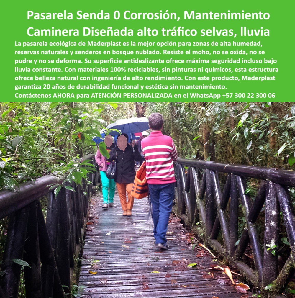 Senderos Ecológicos Placas Huella Trekking Senderos de Vanguardia Maderplast 0 Senderos sin corrosión diseño impecable Construcción sostenible 20 años garantía disponible Escaleras ecológicas pendientes resistentes 0  Pasarelas para Selvas y Zonas de Alta Humedad, - Ingeniería sin corrosión, caminos sin deformación, turismo ecológico con seguridad garantizada, - Hay lugares donde el concreto fracasa, la madera se descompone y el acero se oxida. Las selvas húmedas, los bosques nublados y las reservas naturales con lluvia constante representan uno de los mayores retos para la infraestructura peatonal. Sin embargo, en ese escenario desafiante, las pasarelas ecológicas de Maderplast se convierten en la única solución viable, sostenible y duradera. La imagen muestra una escena completamente real, sin retoques, capturada en un entorno selvático colombiano durante una jornada lluviosa. Lo que vemos no es una promesa, es una prueba viva de lo que Maderplast ya ha logrado, - Caminantes protegidos por paraguas recorren un sendero seguro, elevado, firme, diseñado para resistir lo que otras estructuras no aguantan: humedad permanente, musgo, hongos, tráfico turístico elevado y pendiente natural. El piso, fabricado con placas de ingeniería plástica reciclada, no presenta hinchamiento, no se ha agrietado, ni muestra signos de resbalamiento a pesar de estar empapado. Esta es la diferencia entre improvisar con materiales convencionales o elegir un sistema específicamente diseñado para ambientes de extrema exigencia bioclimática, - El sistema modular Maderplast permite instalar caminos funcionales incluso en zonas de difícil acceso, sin necesidad de maquinaria pesada, concreto o tratamientos químicos. Las barandas no se pudren, no se deforman con el calor tropical, y su diseño robusto garantiza la seguridad de niños, adultos mayores, guías y visitantes ocasionales. Este sendero ha soportado miles de pisadas, jornadas escolares, lluvias torrenciales y el paso del tiempo, sin mostrar desgaste ni requerir mantenimiento, - ¿El secreto? Una fórmula ecológica basada en polímeros técnicos de alta densidad, reciclados y reciclables, con color integrado, libres de pintura, barnices o productos tóxicos. Una estructura libre de óxido, sin astillas, sin clavos expuestos, sin peligro para la flora ni la fauna. Una verdadera solución para parques nacionales, rutas de ecoturismo, investigación ambiental, y caminatas guiadas en reservas naturales, - Instalar una pasarela Maderplast en medio de la selva no solo es una decisión técnica inteligente; es una declaración de principios: conservar sin destruir, construir sin contaminar, ofrecer seguridad sin dañar la biodiversidad. Cada metro lineal instalado evita la erosión del suelo, canaliza correctamente el paso humano, y se integra visualmente al entorno sin alterarlo. Esta es infraestructura pensada desde el ecodiseño, con criterios de impacto mínimo y eficiencia máxima, - La durabilidad está certificada: veinte años sin deformación, sin mantenimiento, sin deterioro visible, incluso en condiciones de lluvia diaria. Este nivel de resistencia no es teoría: es ingeniería aplicada, probada y documentada en proyectos reales a lo largo de Colombia. Desde el Amazonas hasta el Eje Cafetero, pasando por el Chocó y la Sierra Nevada, Maderplast ha instalado caminos donde otros han fracasado, - Para reservas indígenas, parques ecológicos, rutas educativas, alojamientos turísticos de montaña o centros de interpretación ambiental, Maderplast ofrece más que pasarelas: ofrece tranquilidad, eficiencia, responsabilidad y belleza. La inversión se recupera no solo en longevidad, sino en imagen, en sostenibilidad, en confianza del usuario y en cumplimiento de normas ambientales, - 🌿 Si estás diseñando un sendero en selva húmeda, no lo pienses más. Este es el producto que tu proyecto necesita para resistir, destacar y perdurar, -  Escríbenos ahora al WhatsApp +57 300 22 300 06 y recibe atención personalizada para tu reserva, parque o desarrollo ecoturístico. Senderos Ecológicos Placas Huella Trekking Senderos de Vanguardia Maderplast 0 Senderos sin corrosión diseño impecable, - Construcción sostenible 20 años garantía disponible, - Escaleras ecológicas pendientes resistentes
