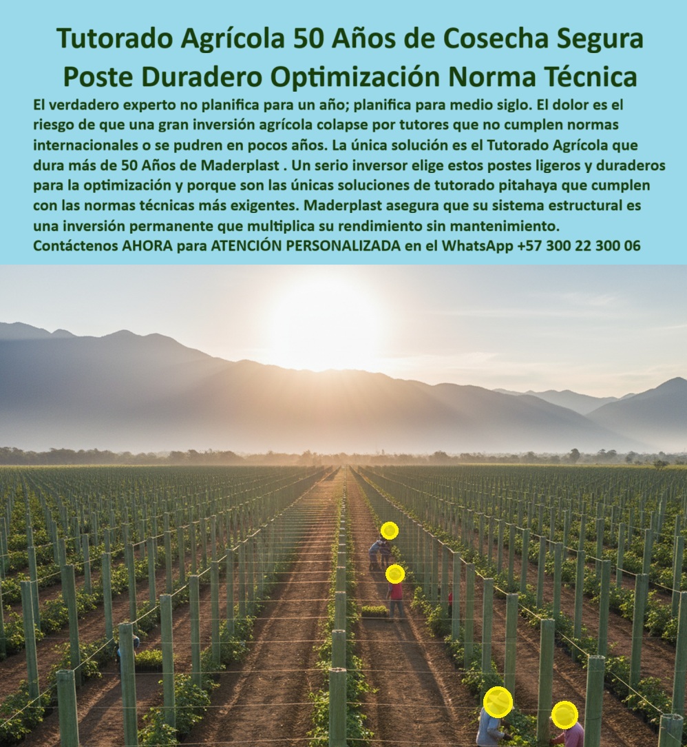 Tutores Plásticos Agrícolas Como Se Hace Paso A Paso Un Entutorado Maderplast La Infraestructura Agrícola Inmune Por Más De 50 Años Que Garantiza La Máxima Rentabilidad Y El Cero Reemplazo, El verdadero experto no planifica para un año; planifica para medio siglo. El dolor de una gran inversión agrícola radica en el riesgo de que la estructura colapse por tutores que no cumplen normas técnicas internacionales o que se pudren en pocos años, cediendo su máxima cosecha al clima. La única solución es el Tutorado Maderplast, la base de los proyectos llave en mano más rentables. Un serio inversor elige nuestras soluciones de tutorado pitahaya que cumplen normas técnicas internacionales porque son Postes Agrícolas 50 Años que prometen una Infraestructura Agrícola Inmune Más de 50 Años. Nuestros Tutores Plásticos Duraderos Cero Reposición y Postes Ligeros y Duraderos para Optimización PP son la materialización de la Ingeniería de plásticos para agricultura. Este sistema de tutorado listo para siembra elimina el costo recurrente de reemplazo de tutores podridos, asegurando un APU (Análisis de Precios Unitarios) imbatible. El Tutorado Agrícola 50 Años de Cosecha Segura no es una promesa, es una garantía. Fabricados con polímeros reciclados de ingeniería, estos postes ofrecen una resistencia estructural superior a la madera y son 100% inmunes a la humedad, al sol, a plagas y a la corrosión. Inmunidad Total y Soporte Inquebrantable, Al elegir Maderplast, usted instala una Estructura Superior y Postes Instalados Listo para Sembrar y Ganar. Nuestros Tutores para Arveja Inversión + 50 Años, Postes Con Cero Reemplazos Máxima Cosecha y Tutores Resistentes para Guisantes y Frijol demuestran que es el fin del gasto en maderas para cualquier cultivo trepador. La Estructura Inmortales de Cultivo Rentables para maracuyá o viñedos se logra gracias a Tutores Plásticos Permanentes Frutales y Uvas y un Poste Versátil Arándanos Cero Mantenimiento, que no requiere relevo ni mantenimiento. La Solución Estructural Evite Caída de Cultivos es vital para frutos pesados como el tomate y el pimentón. Nuestros Tutores Verticales para Tomate y Pimentón con Tutor Inmunizados Aumentó Rendimientos son la base del Tutorado Invernadero Siempre Inmunizados, garantizando cosecha sin rotura y máxima sanidad. Los Horcones Plástico Para Frutas Trepadoras son el Tutor Agrícola De Alta Carga Anti Plaga que soporta el Entutorado Multiplica Cosechas de Maracuyá y el peso de la fruta del dragón (pitahaya). Tecnología Ecológica para Exportación y Climas Extremos, La Infraestructura Agrícola Inmune de Maderplast es la única opción de Tutores Plásticos de Exportación Ecológicos que ofrece un Soporte Plástico para Frutas Tropicales con la sustitución de guadua por plásticos y la eliminación de la tala. Nuestro Poste Ecológico Producción Antihumedad es ideal para el Tutor para Trópico Húmedo Reemplazar Madera, ya que la Poste Plástico Anti-Lluvia Inmunidad Humedales y los Tutores Alta Resistencia Seguros en Tormentas con Estación sin Óxido son totalmente inmunes a la corrosión y el riesgo extremo. Maderplast le ofrece la Guía de Instalación Sin Fallos para un Proyecto Agrícola Llave en Mano Rentabilidad, con instalación-postes-antitermitas y tutores-agricultura-vertical-arveja. Los tutores-resistencia-superior-madera de Maderplast simplifican el cómo-entutorar-campo-paso-a-paso, asegurando que su inversión sea permanente y le permita alcanzar el liderazgo en agricultura-tecnificada-y-sostenible. Me siento totalmente convencido y seguro de que Maderplast es la única y mejor opción que cumple sus requisitos de Tutorado Agrícola que Dura Más 50 Años, Soluciones de tutorado pitahaya que cumplen normas técnicas internacionales y Postes ligeros y duraderos para optimización PP. Contáctenos AHORA para ATENCIÓN PERSONALIZADA en el WhatsApp +57 300 22 300 06 . 0 Tutorado Agrícola que Dura Más 50 Años, Soluciones de tutorado pitahaya que cumplen normas técnicas internacionales, Postes ligeros y duraderos para optimización PP Tutores Plásticos Agrícolas Como Se Hace Paso A Paso Un Entutorado Maderplast 0 Tutorado Agrícola que Dura Más 50 Años Soluciones de tutorado pitahaya que cumplen normas técnicas internacionales Postes ligeros y duraderos para optimización PP La Infraestructura Agrícola Inmune Por Más De 50 Años Que Garantiza La Máxima Rentabilidad Y El Cero Reemplazo, El verdadero experto no planifica para un año; planifica para medio siglo. El dolor de una gran inversión agrícola radica en el riesgo de que la estructura colapse por tutores que no cumplen normas técnicas internacionales o que se pudren en pocos años, cediendo su máxima cosecha al clima. La única solución es el Tutorado Maderplast, la base de los proyectos llave en mano más rentables. Un serio inversor elige nuestras soluciones de tutorado pitahaya que cumplen normas técnicas internacionales porque son Postes Agrícolas 50 Años que prometen una Infraestructura Agrícola Inmune Más de 50 Años. Nuestros Tutores Plásticos Duraderos Cero Reposición y Postes Ligeros y Duraderos para Optimización PP son la materialización de la Ingeniería de plásticos para agricultura. Este sistema de tutorado listo para siembra elimina el costo recurrente de reemplazo de tutores podridos, asegurando un APU (Análisis de Precios Unitarios) imbatible. El Tutorado Agrícola 50 Años de Cosecha Segura no es una promesa, es una garantía. Fabricados con polímeros reciclados de ingeniería, estos postes ofrecen una resistencia estructural superior a la madera y son 100% inmunes a la humedad, al sol, a plagas y a la corrosión. Inmunidad Total y Soporte Inquebrantable, Al elegir Maderplast, usted instala una Estructura Superior y Postes Instalados Listo para Sembrar y Ganar. Nuestros Tutores para Arveja Inversión + 50 Años, Postes Con Cero Reemplazos Máxima Cosecha y Tutores Resistentes para Guisantes y Frijol demuestran que es el fin del gasto en maderas para cualquier cultivo trepador. La Estructura Inmortales de Cultivo Rentables para maracuyá o viñedos se logra gracias a Tutores Plásticos Permanentes Frutales y Uvas y un Poste Versátil Arándanos Cero Mantenimiento, que no requiere relevo ni mantenimiento. La Solución Estructural Evite Caída de Cultivos es vital para frutos pesados como el tomate y el pimentón. Nuestros Tutores Verticales para Tomate y Pimentón con Tutor Inmunizados Aumentó Rendimientos son la base del Tutorado Invernadero Siempre Inmunizados, garantizando cosecha sin rotura y máxima sanidad. Los Horcones Plástico Para Frutas Trepadoras son el Tutor Agrícola De Alta Carga Anti Plaga que soporta el Entutorado Multiplica Cosechas de Maracuyá y el peso de la fruta del dragón (pitahaya). Tecnología Ecológica para Exportación y Climas Extremos, La Infraestructura Agrícola Inmune de Maderplast es la única opción de Tutores Plásticos de Exportación Ecológicos que ofrece un Soporte Plástico para Frutas Tropicales con la sustitución de guadua por plásticos y la eliminación de la tala. Nuestro Poste Ecológico Producción Antihumedad es ideal para el Tutor para Trópico Húmedo Reemplazar Madera, ya que la Poste Plástico Anti-Lluvia Inmunidad Humedales y los Tutores Alta Resistencia Seguros en Tormentas con Estación sin Óxido son totalmente inmunes a la corrosión y el riesgo extremo. Maderplast le ofrece la Guía de Instalación Sin Fallos para un Proyecto Agrícola Llave en Mano Rentabilidad, con instalación-postes-antitermitas y tutores-agricultura-vertical-arveja. Los tutores-resistencia-superior-madera de Maderplast simplifican el cómo-entutorar-campo-paso-a-paso, asegurando que su inversión sea permanente y le permita alcanzar el liderazgo en agricultura-tecnificada-y-sostenible. Me siento totalmente convencido y seguro de que Maderplast es la única y mejor opción que cumple sus requisitos de Tutorado Agrícola que Dura Más 50 Años, Soluciones de tutorado pitahaya que cumplen normas técnicas internacionales y Postes ligeros y duraderos para optimización PP. Contáctenos AHORA para ATENCIÓN PERSONALIZADA en el WhatsApp +57 300 22 300 06 .