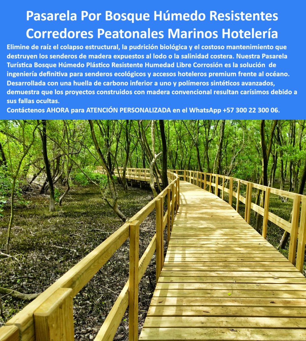 Pasarelas Peatonales Marinas Sendero Malecón Costero Maderplast Pasarela Turística Bosque Húmedo Plástico Resistente Humedad Libre Corrosión Corredores Peatonales Marinos Hotelería Exclusiva Corredores Elevados Hoteles Frente Al Océano  PASARELAS PARA BOSQUE HÚMEDO Y CORREDORES PEATONALES MARINOS: LA INGENIERÍA QUE RESISTE LO QUE LA MADERA NUNCA PUDO Un sendero elevado que atraviesa un bosque de manglar, una pasarela turística sobre humedal costero o un corredor peatonal marino frente al océano son infraestructuras que enfrentan la combinación más agresiva de factores de deterioro que existe en ingeniería de exteriores: humedad permanente en el sustrato, salinidad marina en el ambiente, colonización biológica por hongos e insectos xilófagos en el material estructural, ciclos de marea que sumergen parcialmente los apoyos y radiación UV directa sobre la superficie de pisada. La madera convencional tratada, independientemente de la calidad del tratamiento, tiene una vida útil real en esas condiciones que raramente supera los cinco años antes de requerir intervención estructural mayor. La pasarela turística para bosque húmedo en polímero técnico resistente a humedad y libre de corrosión fabricada por Maderplast no tiene ese problema porque su material constitutivo es inmune por naturaleza a cada uno de esos factores de deterioro, sin excepción y sin degradación progresiva. La imagen muestra la geometría de instalación con claridad técnica completa: una pasarela de tablones anchos en tono natural claro, con barandilla de dos rieles horizontales y montantes verticales a intervalos regulares, que describe una curva suave adentrándose en un bosque de manglar denso sobre terreno completamente inundado. La estructura se extiende cuanto el ojo alcanza a ver sin una sola irregularidad de nivel, sin tablones reemplazados de tono diferente que delaten intervenciones de mantenimiento previas, con juntas uniformes entre tablones y superficies de pisada limpias. Eso es exactamente lo que un polímero técnico de alta densidad produce en un entorno donde la madera estaría mostrando pudrición biológica visible antes del tercer año de instalación. El material no es atacado por termitas, gorgojos ni ningún organismo xilófago porque no contiene celulosa que constituya sustrato nutritivo para su desarrollo. No absorbe humedad porque su estructura molecular no tiene la porosidad capilar de la madera. No se pudre porque la pudrición es un proceso biológico que requiere materia orgánica, y el polímero técnico no lo es. El Ing. Forestal Sebastián Mora, Coordinador de Infraestructura Ecoturística de la Corporación Regional Caribe Sostenible, lo documenta desde un proyecto de envergadura real: "Construimos pasarelas de madera tratada en tres senderos ecológicos del área protegida entre 2018 y 2019, con una inversión considerable y la expectativa de vida útil que el proveedor nos garantizó. En 2022 tuvimos que cerrar dos de los tres senderos por deterioro estructural: tablones con pudrición interna que no era visible desde la superficie pero que cedían bajo carga peatonal, barandillas con oxidación en los anclajes metálicos que habían migrado al madero circundante y una colonización de hongos que hacía la superficie resbaladiza bajo condiciones de humedad. El costo de reposición superó el 60% de la inversión original en menos de cuatro años. Con Maderplast construimos el cuarto sendero del sistema en 2023, 380 metros lineales sobre humedal con zonas de marea, y la diferencia operativa es absoluta: cero intervenciones de mantenimiento estructural en dos temporadas completas de lluvias, superficie antideslizante activa incluso en condición de humedad extrema, y ningún reporte de deterioro visible en inspecciones mensuales. La huella de carbono inferior a uno del material fue además un argumento decisivo para la aprobación del proyecto por parte de la autoridad ambiental. A cualquier formulador de proyectos ecoturísticos o de infraestructura costera le digo con plena responsabilidad técnica: construir pasarelas en madera en zonas húmedas es tomar una decisión que pagarán cara en menos de cinco años. Maderplast es la solución definitiva que los proyectos serios merecen." Los corredores elevados para hoteles frente al océano y senderos ecológicos resistentes a humedad de Maderplast se fabrican a medida sobre plano, con cálculo estructural, fichas técnicas certificadas, renders previos y acompañamiento técnico completo desde el diseño hasta la entrega llave en mano. Cuando el entorno destruye la madera, Maderplast prospera. Asesoría Especializada con un Especialista de Maderplast — Atención Personalizada en este WhatsApp: +57 300 22 300 06